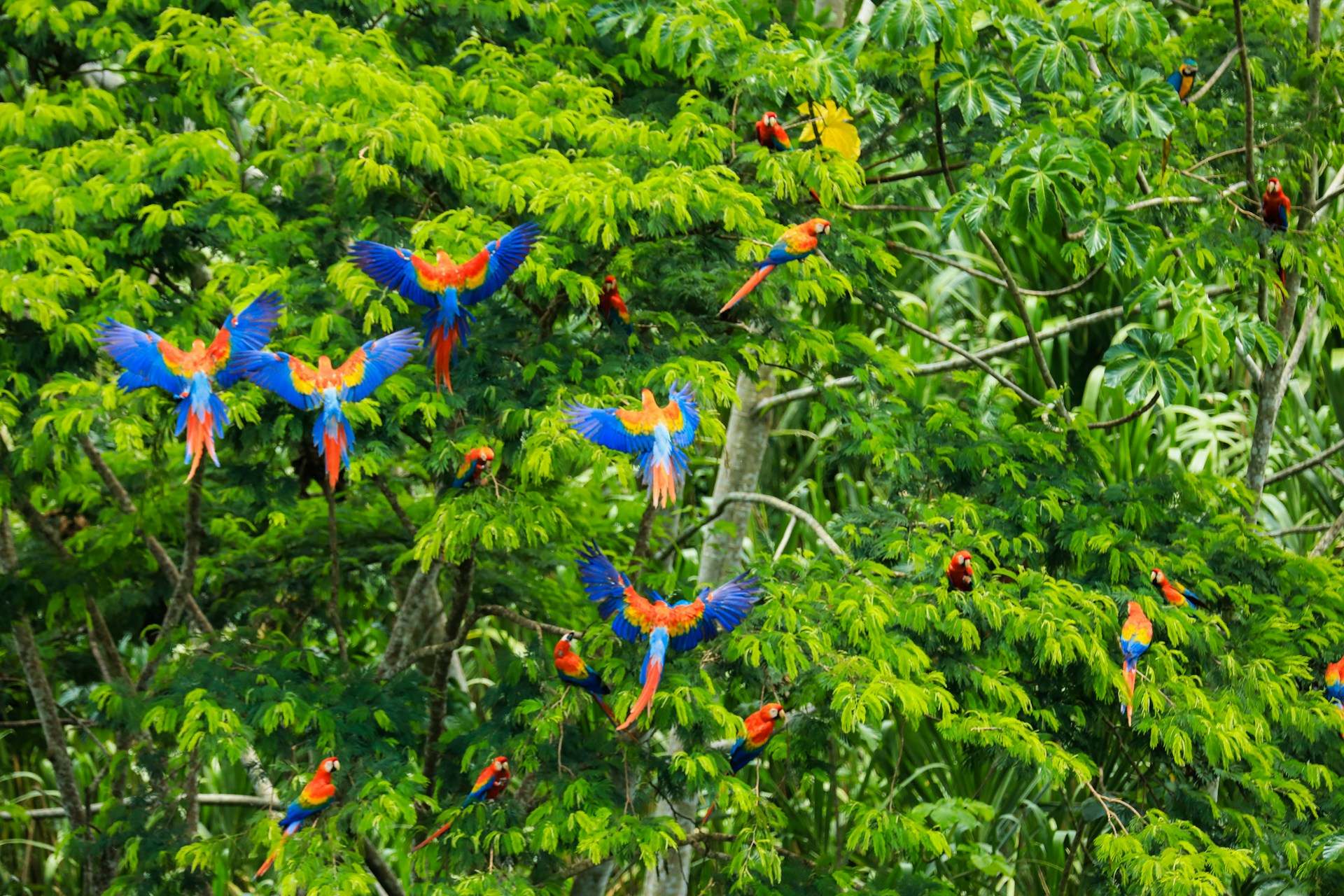 EMBRACE THE SUMMER VIBRANCY OF PERU