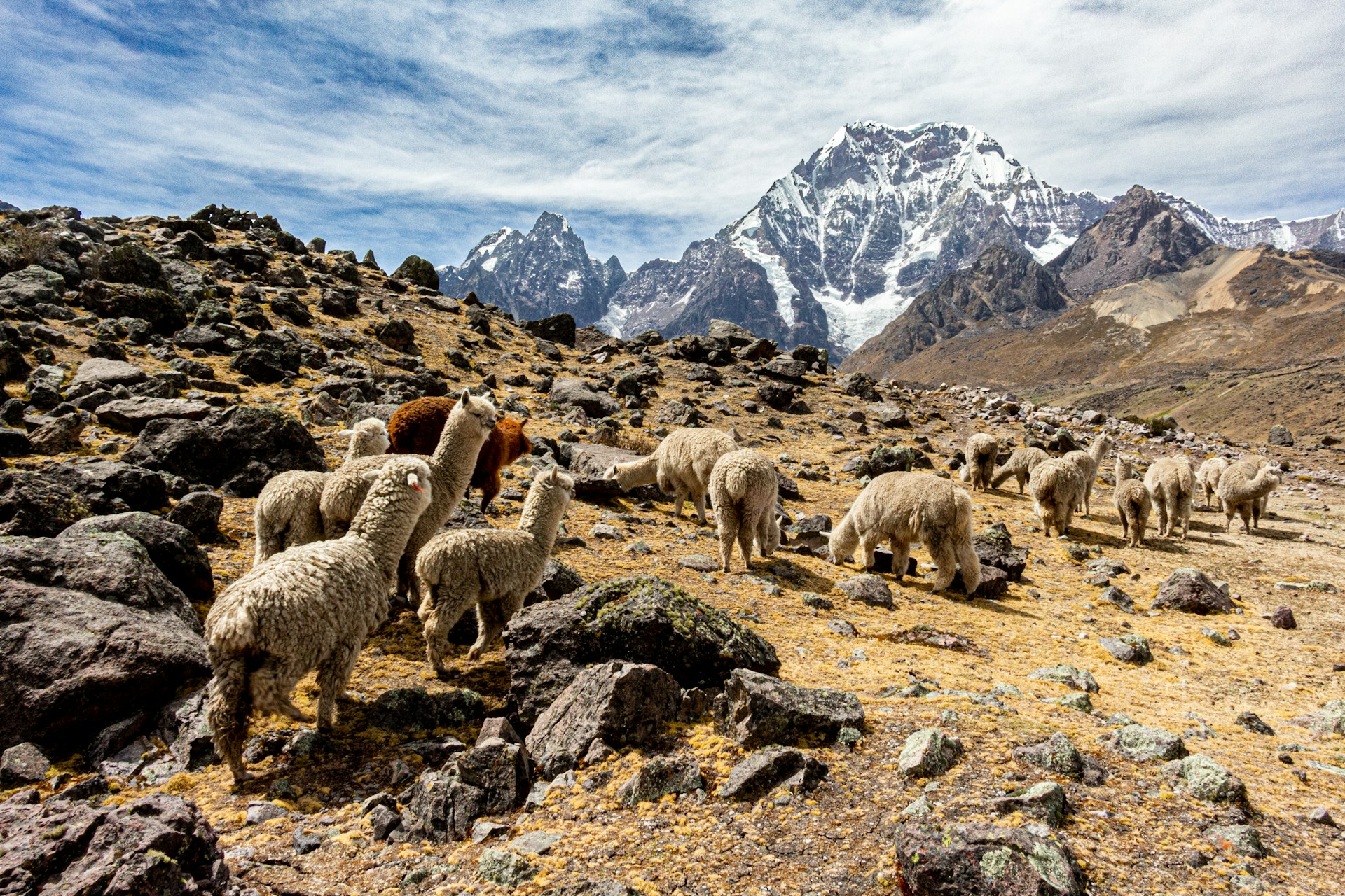 EXPLORE PERU’S SPRINGTIME CHARM
