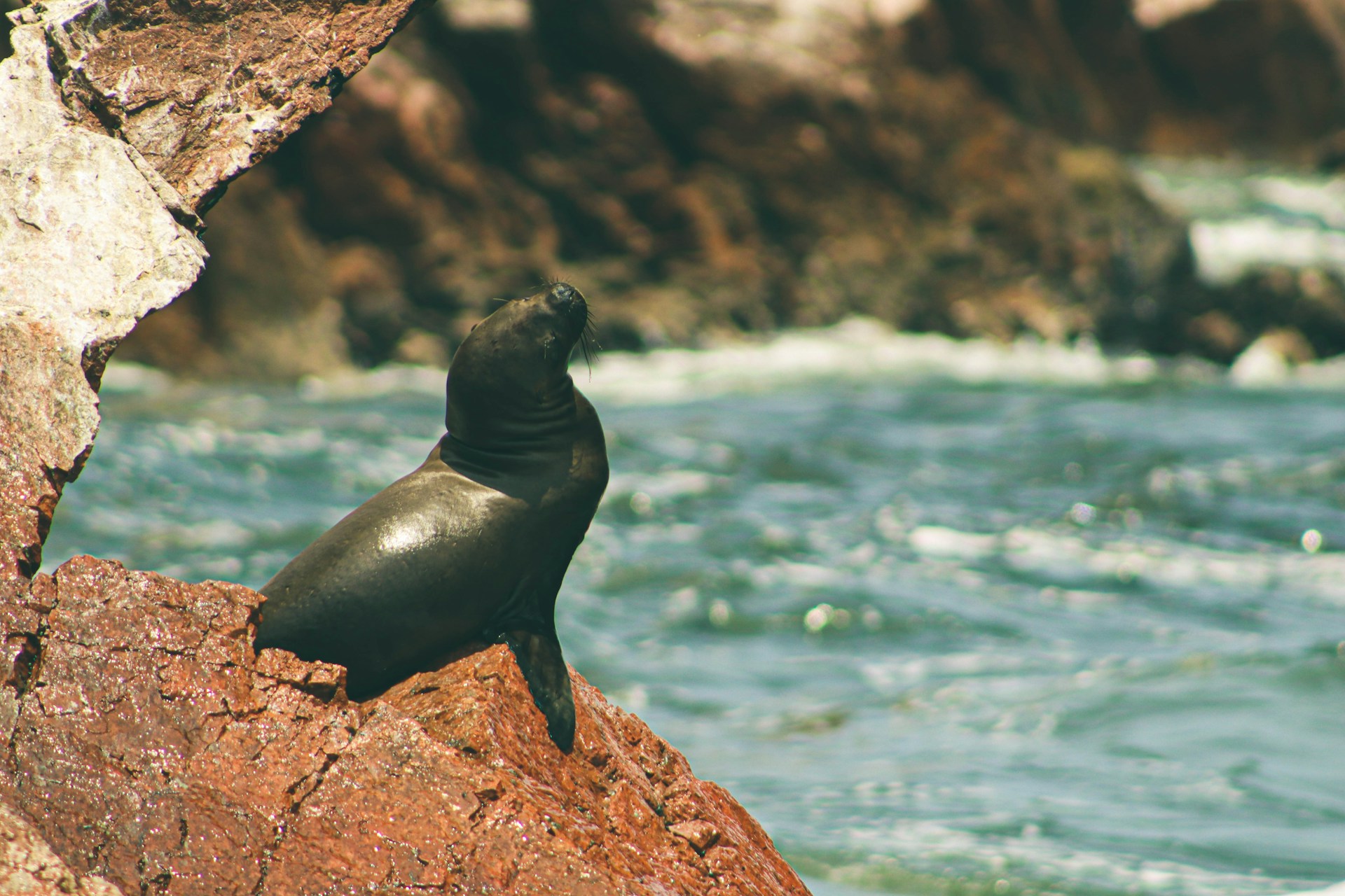 A CULTURAL AND NATURAL EXTRAVAGANZA IN PERU