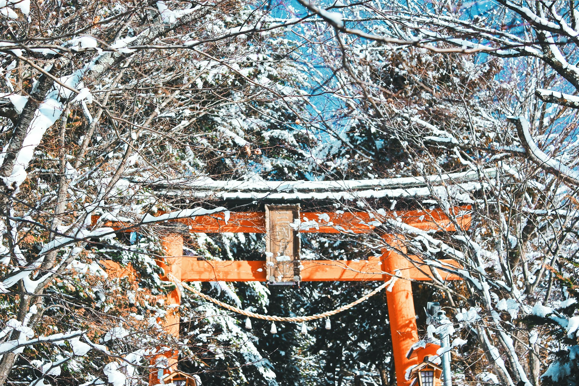 EMBRACE THE WINTER CHARM OF JAPAN