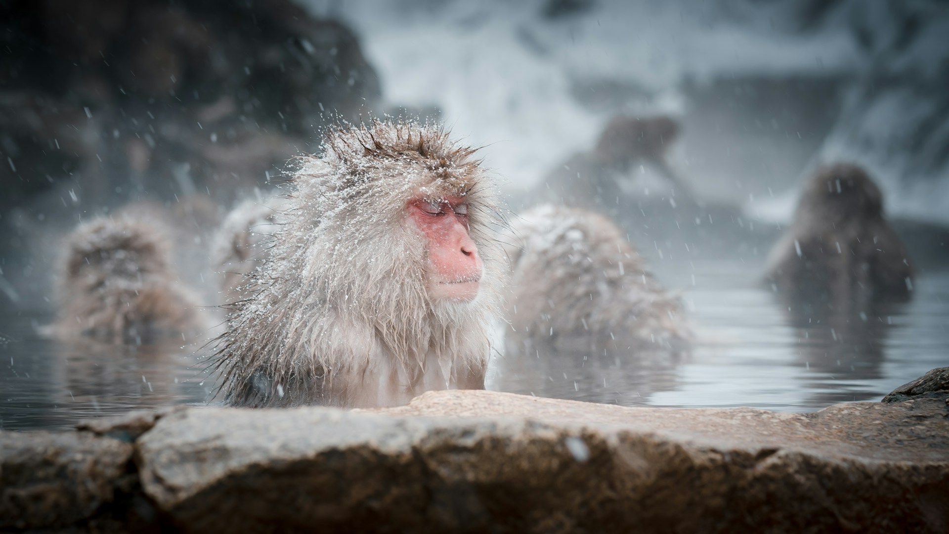 A ROMANTIC WINTER ESCAPE IN JAPAN