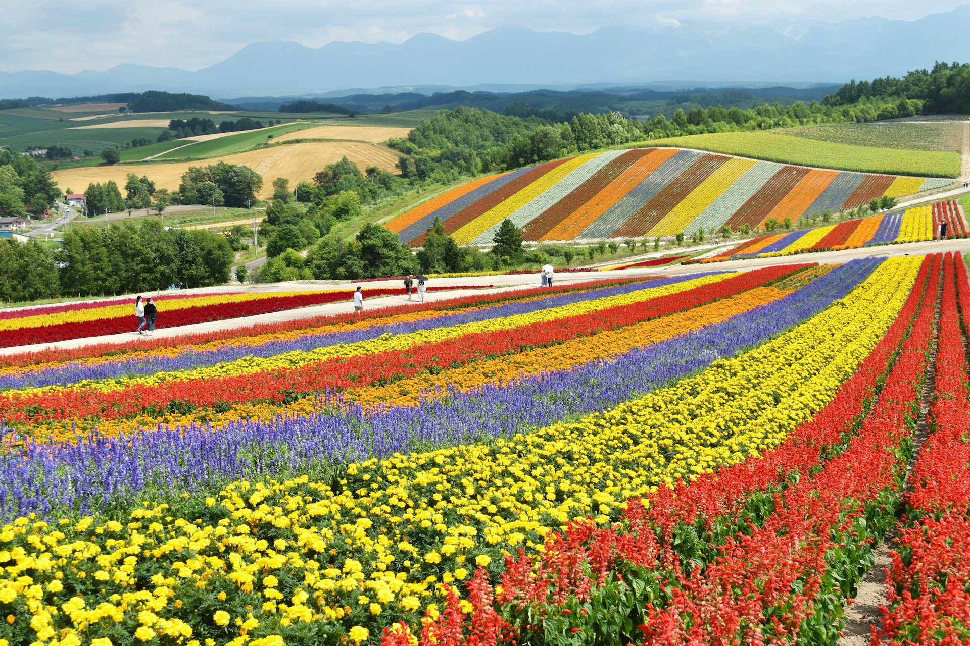 ENJOY JAPAN’S LUSH SPRING LANDSCAPES