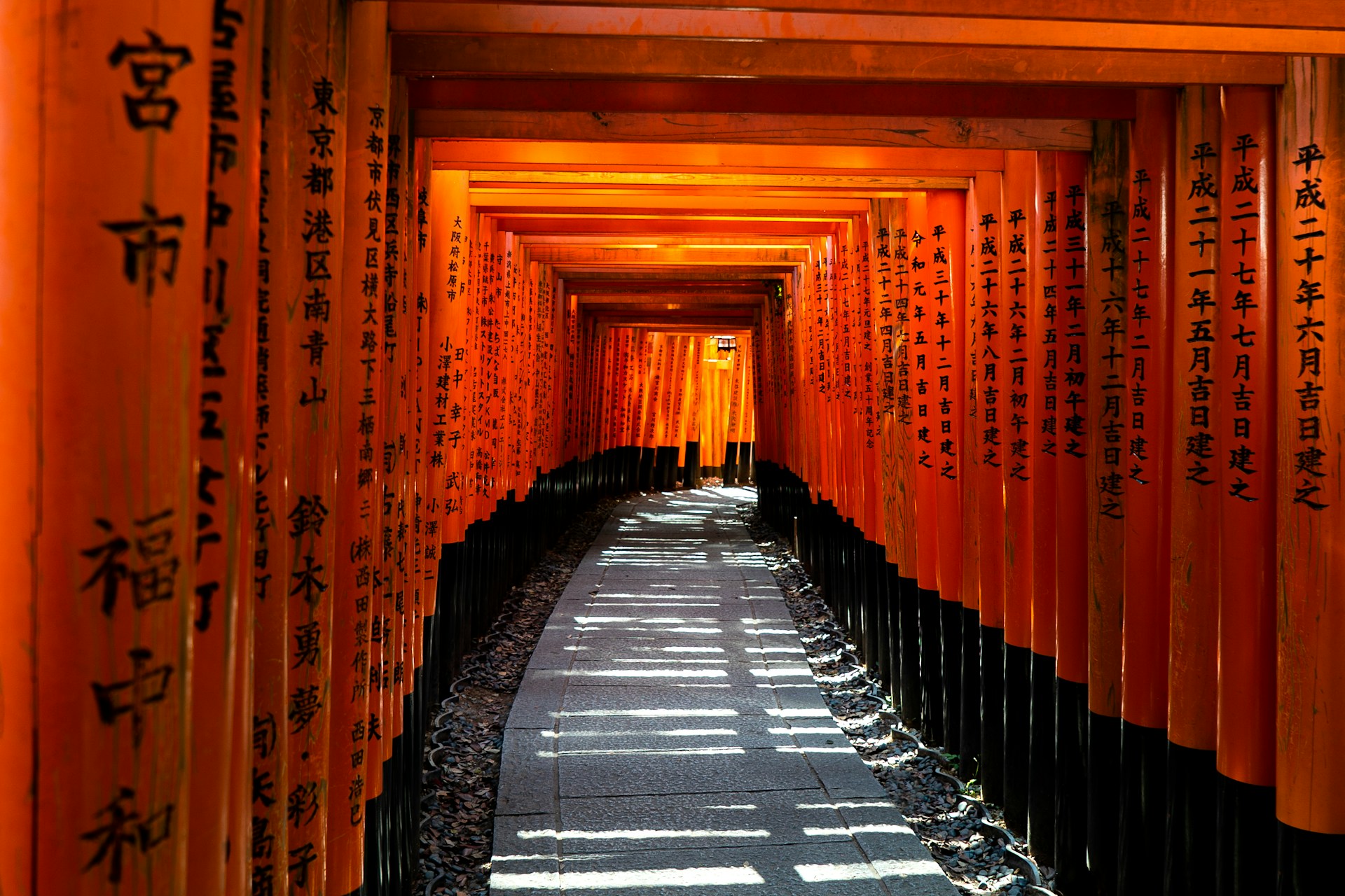 MONSOON ADVENTURES IN JAPAN