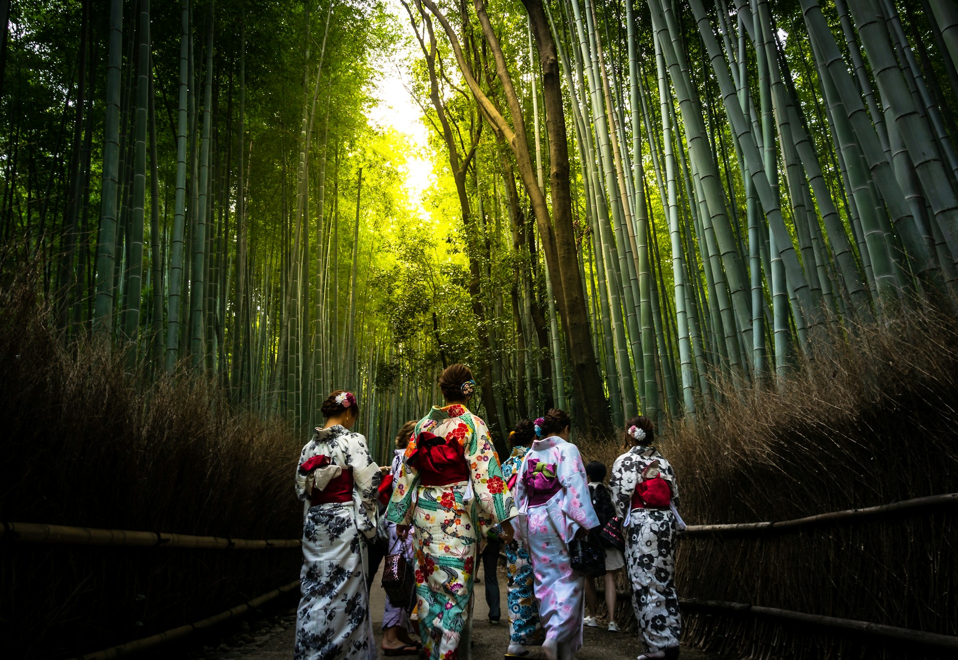 WITNESS JAPAN’S AUTUMN SPLENDOR