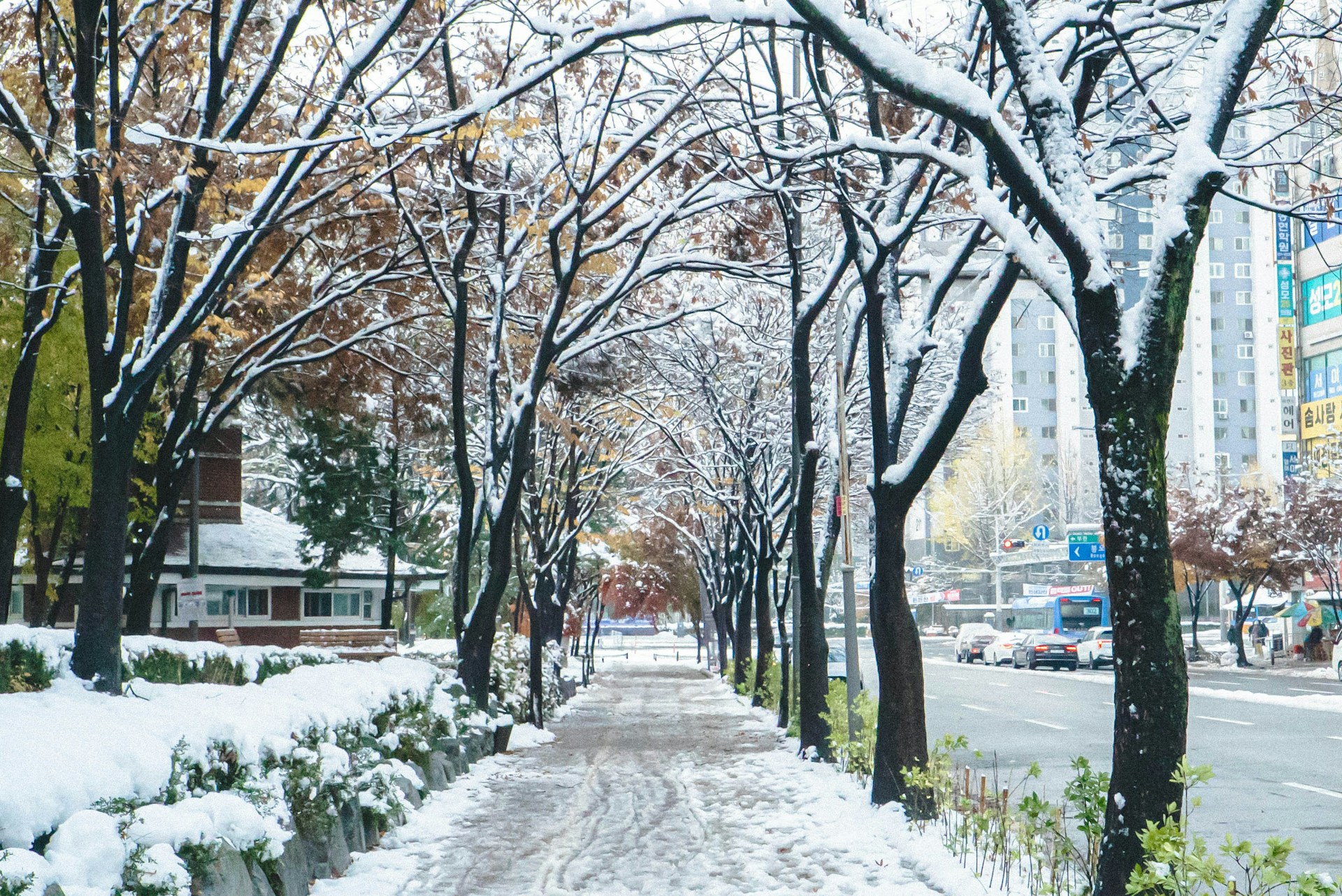 A ROMANTIC WINTER ESCAPE IN SOUTH KOREA