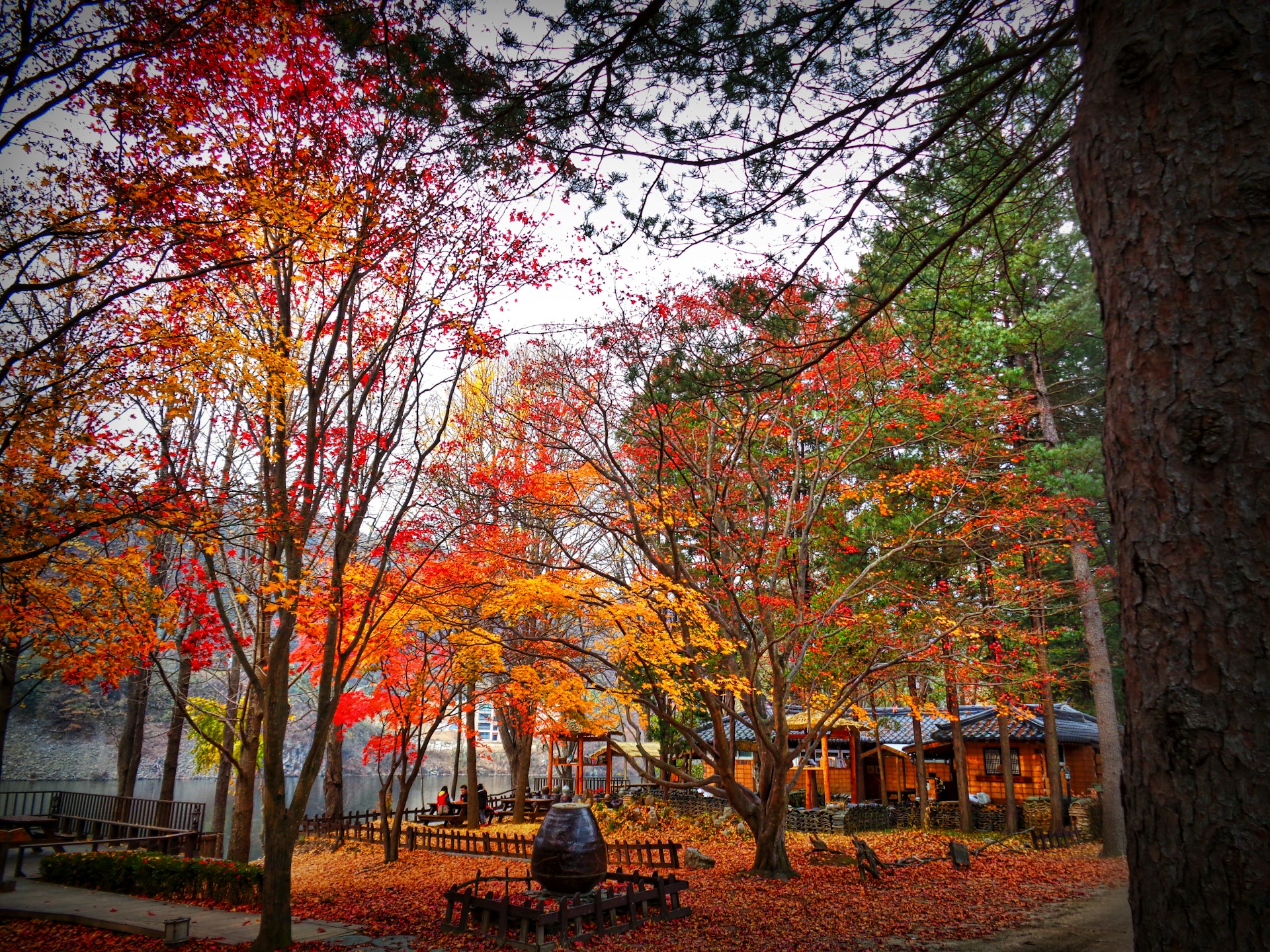 EXPLORE SOUTH KOREA’S TRANSITIONAL BEAUTY