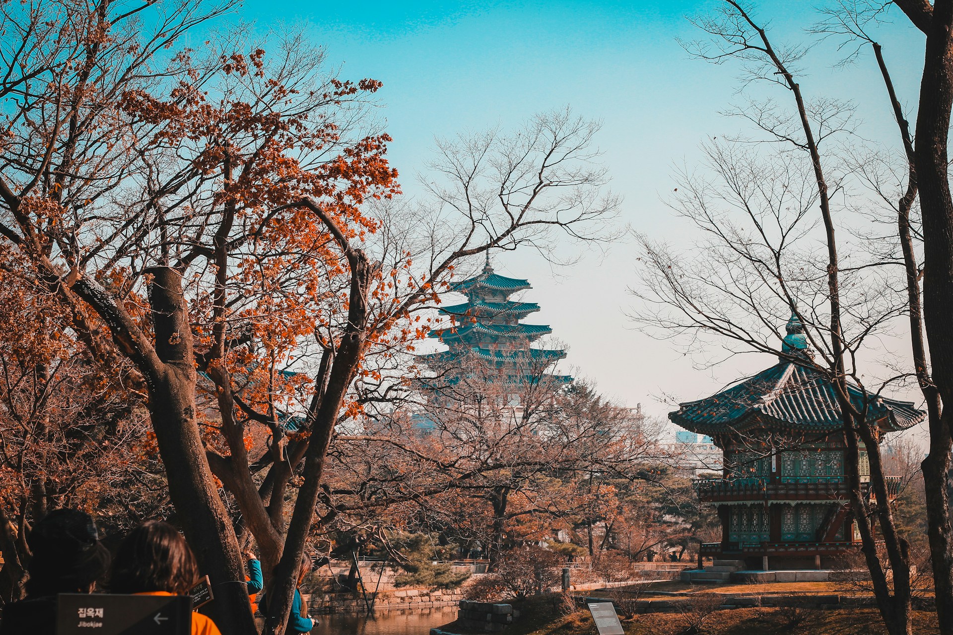 WITNESS SOUTH KOREA’S AUTUMN SPLENDOR