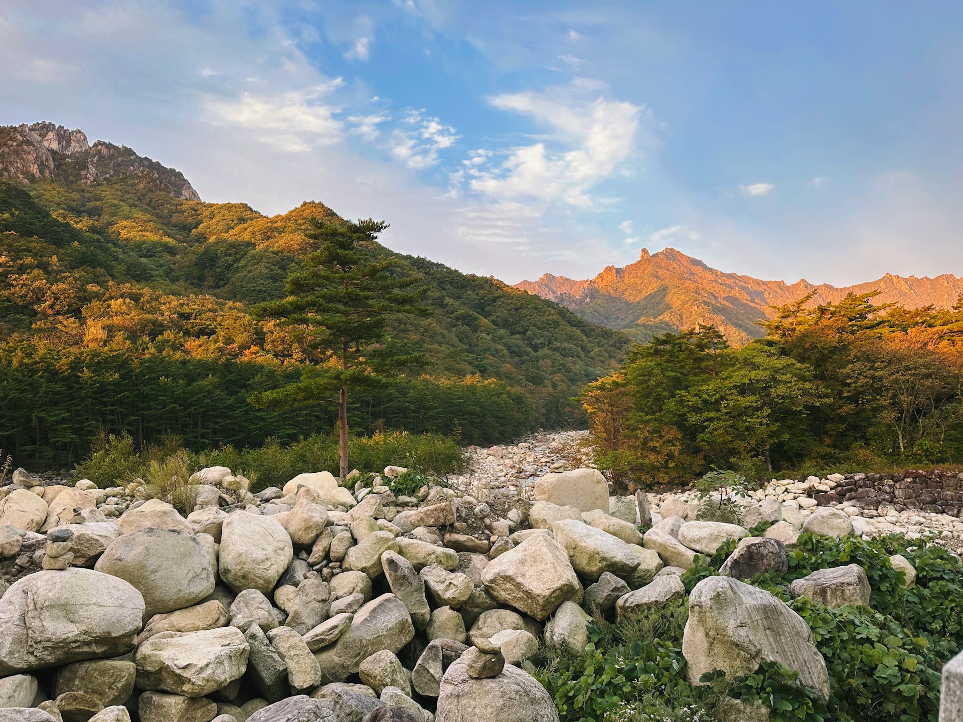 A CULTURAL AND SCENIC EXTRAVAGANZA IN SOUTH KOREA