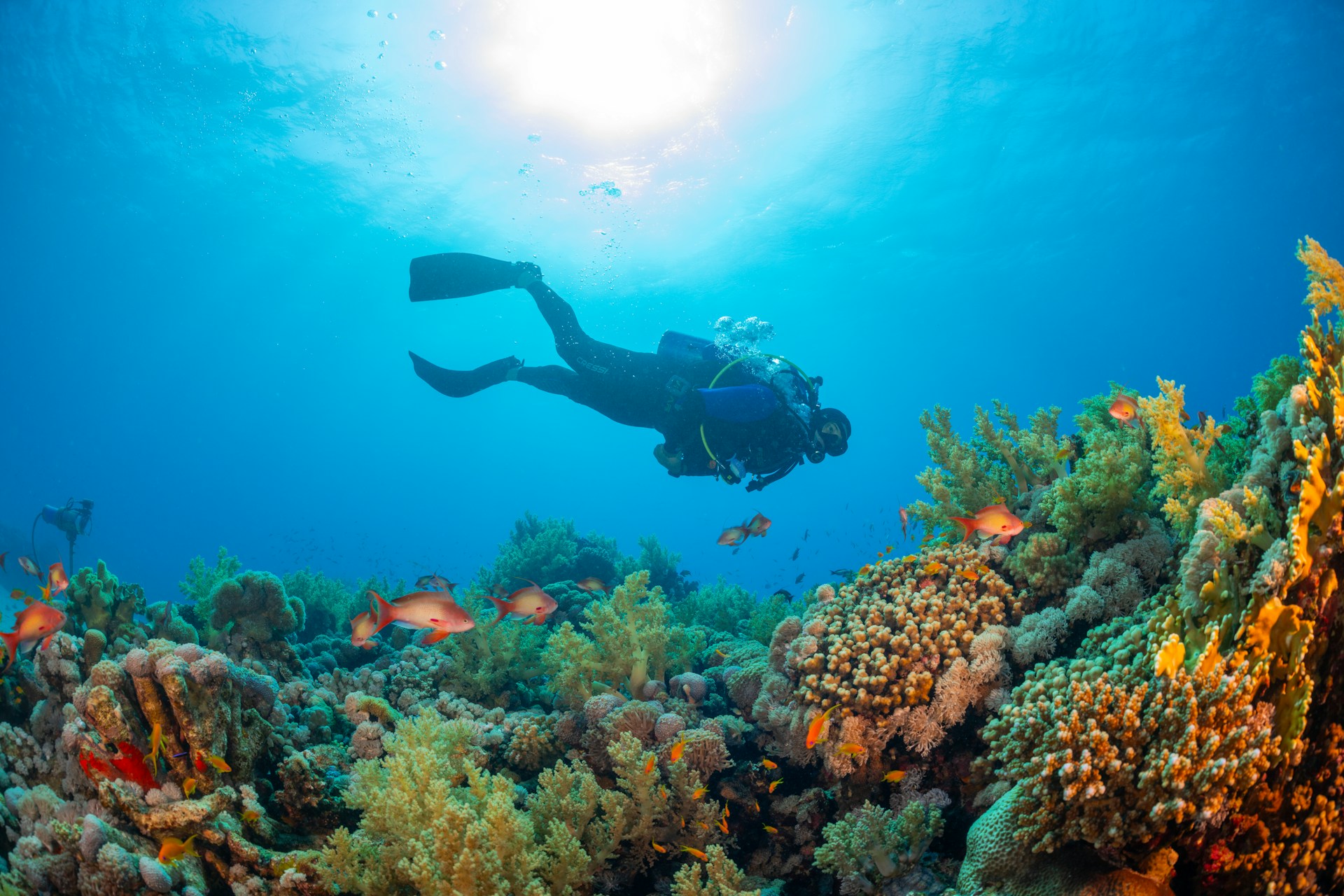EXPERIENCE THAILAND’S MONSOON MAGIC
