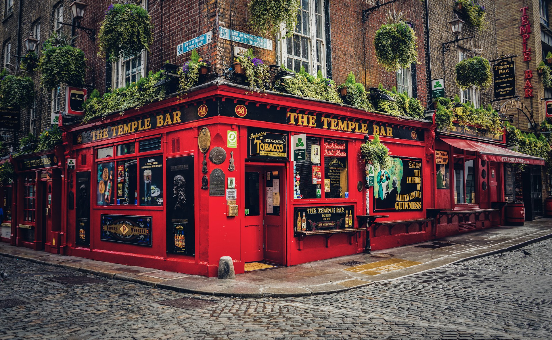 DISCOVER THE WINTER CHARM OF IRELAND