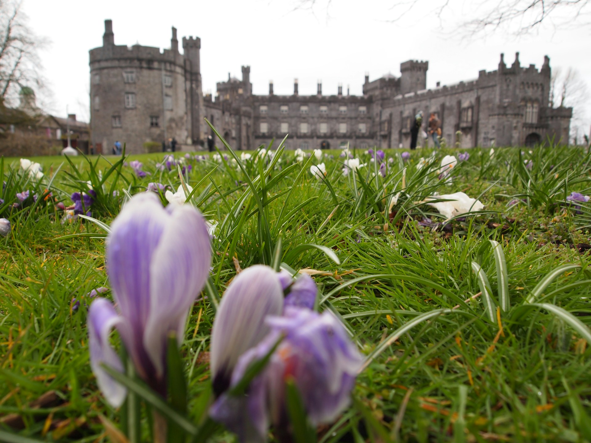FESTIVITIES AND SCENIC BEAUTY IN IRELAND