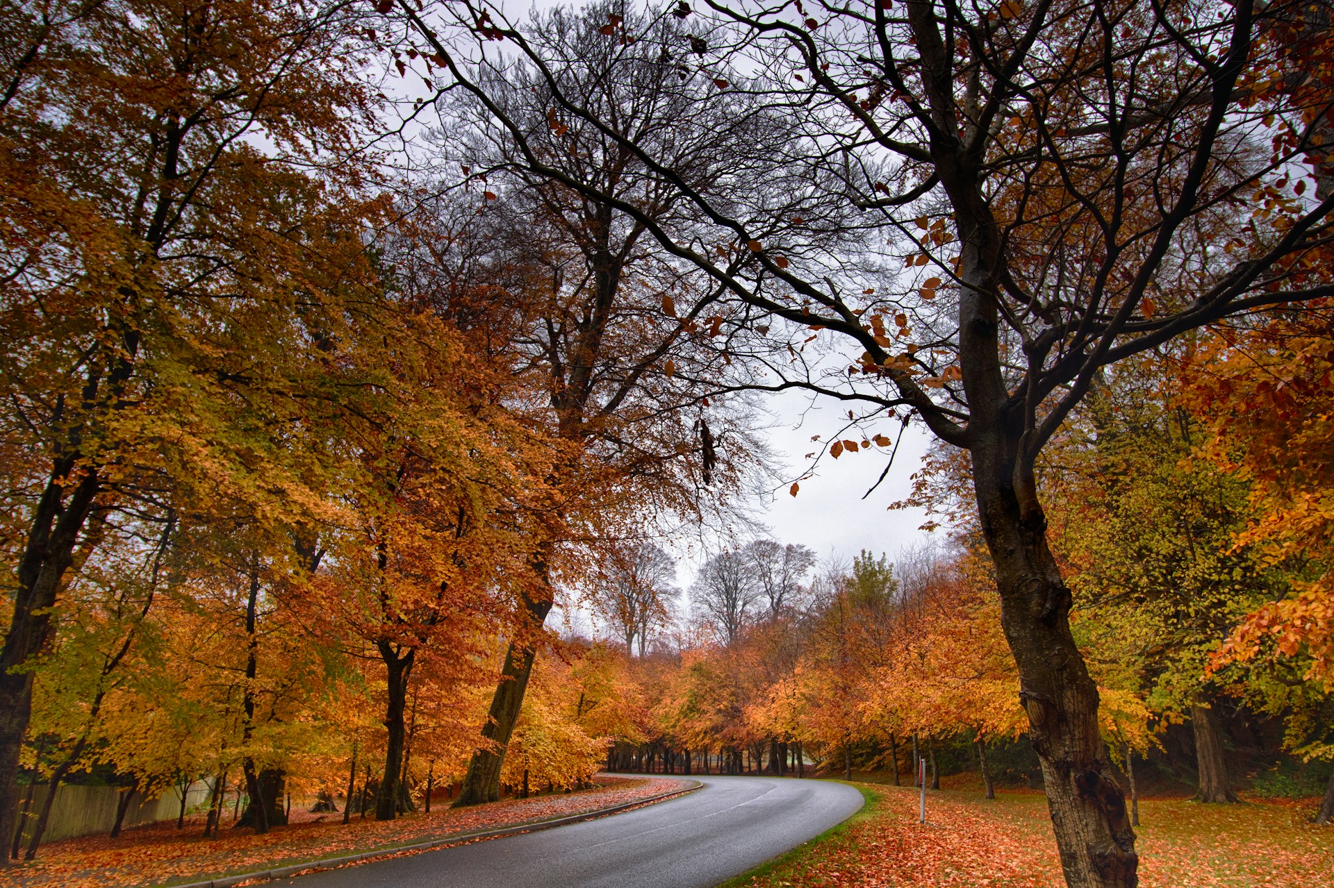 EXPLORE IRELAND’S AUTUMN CHARM