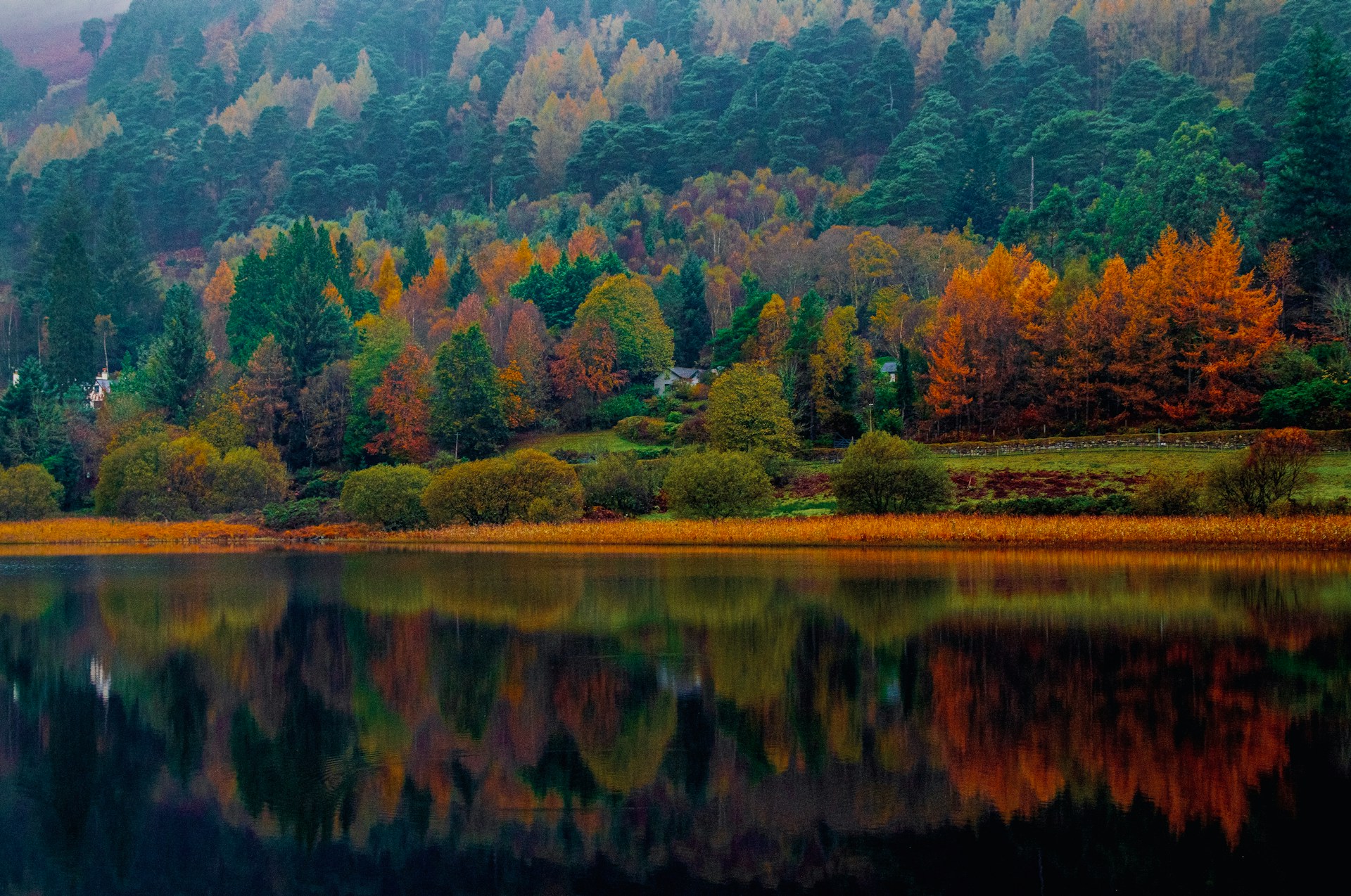 WITNESS IRELAND’S AUTUMN SPLENDOR