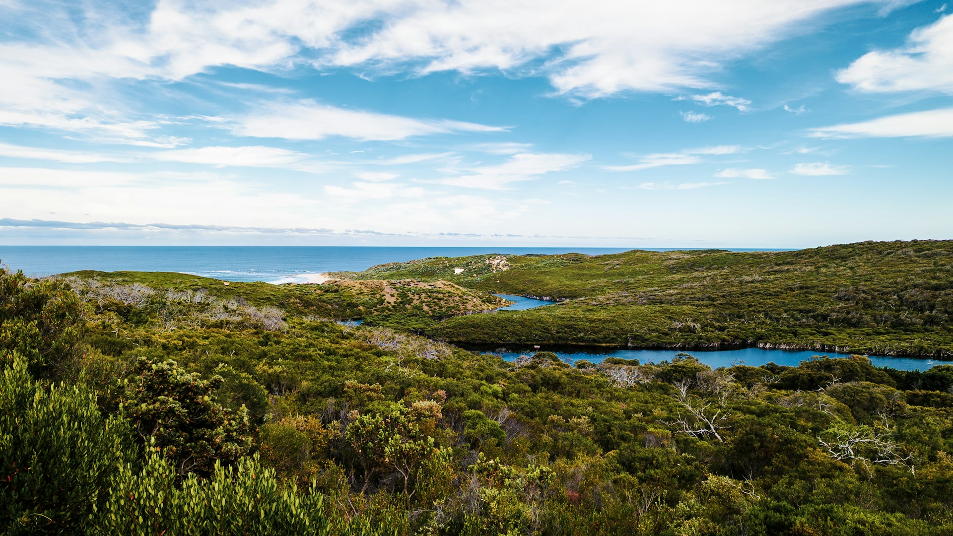CELEBRATE THE YEAR-END IN AUSTRALIA