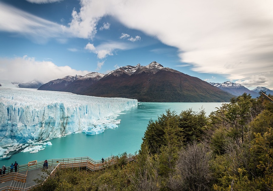 WELCOME ARGENTINA’S SPRING BLOSSOMS