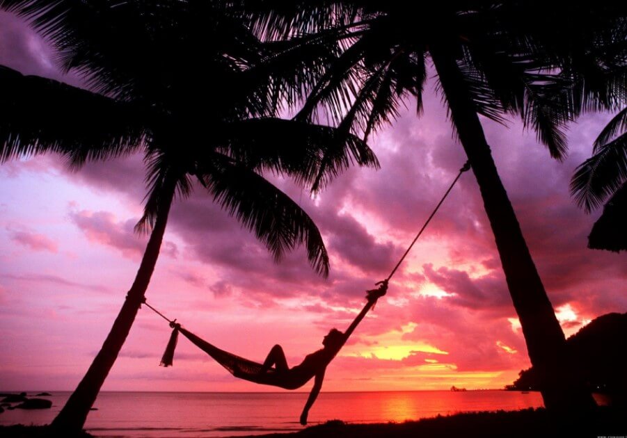 REVEL IN COSTA RICA’S WILDLIFE HAVEN