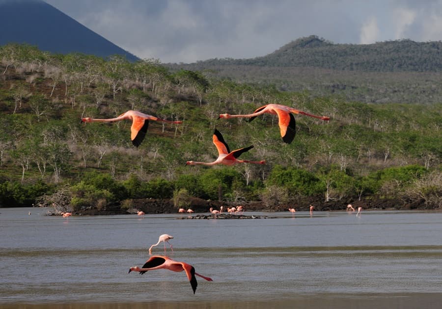 EMBRACE ECUADOR’S CARNIVAL SPIRIT