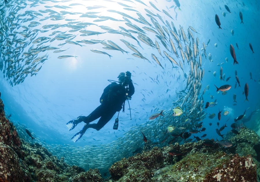 DISCOVER ECUADOR’S LUSH LANDSCAPES