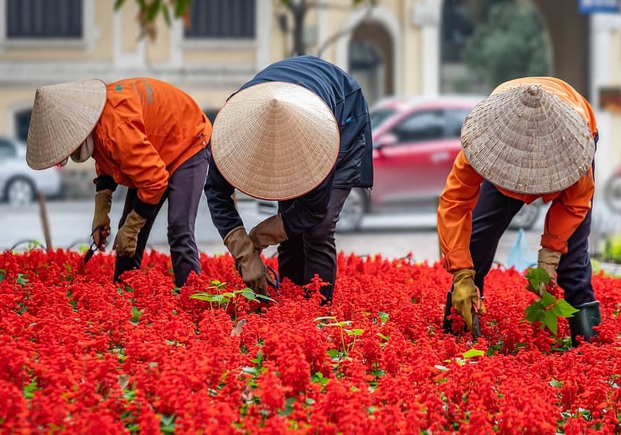 EMBRACE VIETNAM’S SUMMER ENERGY
