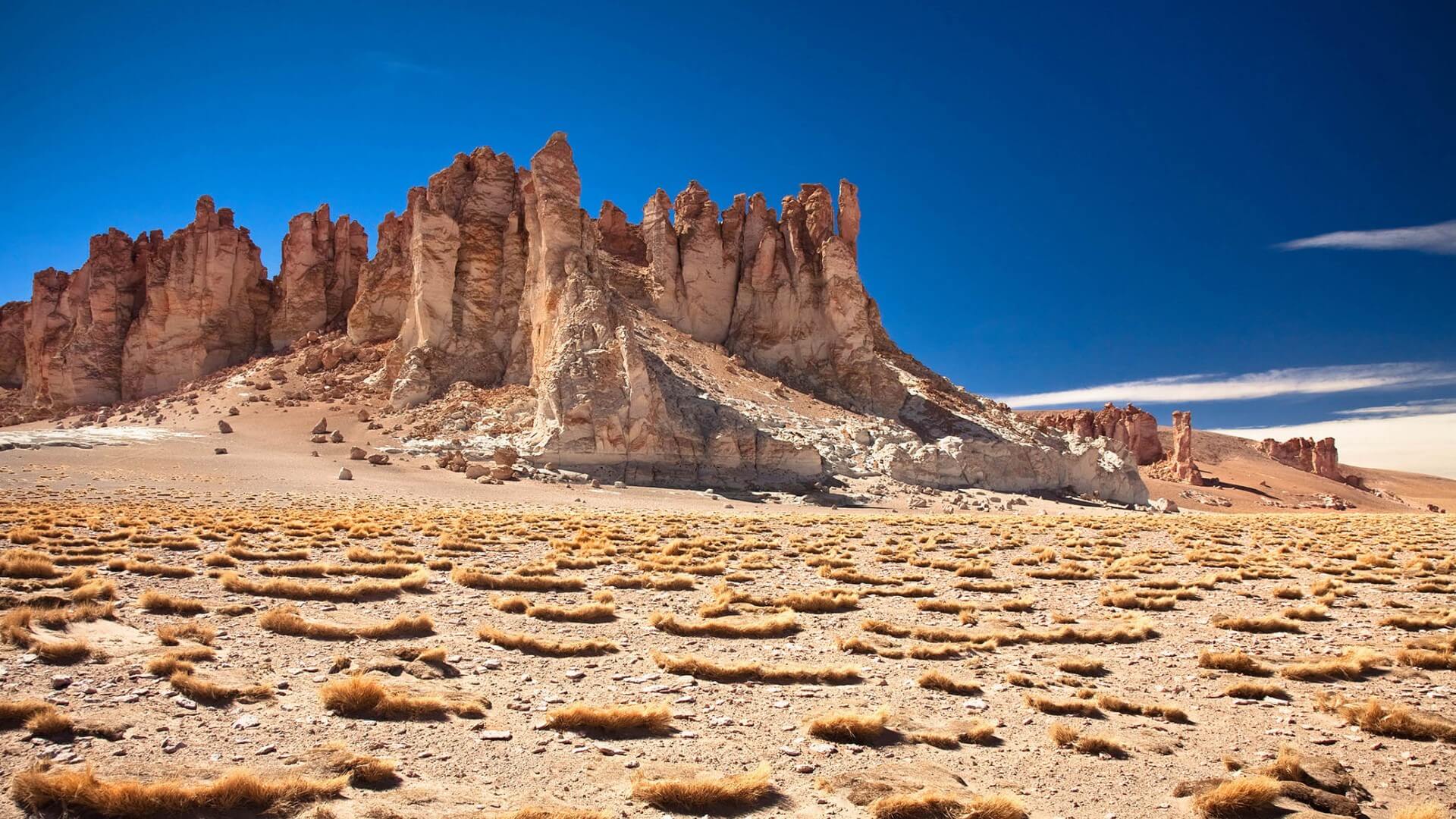 REVEL IN CHILE’S PEAK SUMMER VIBES