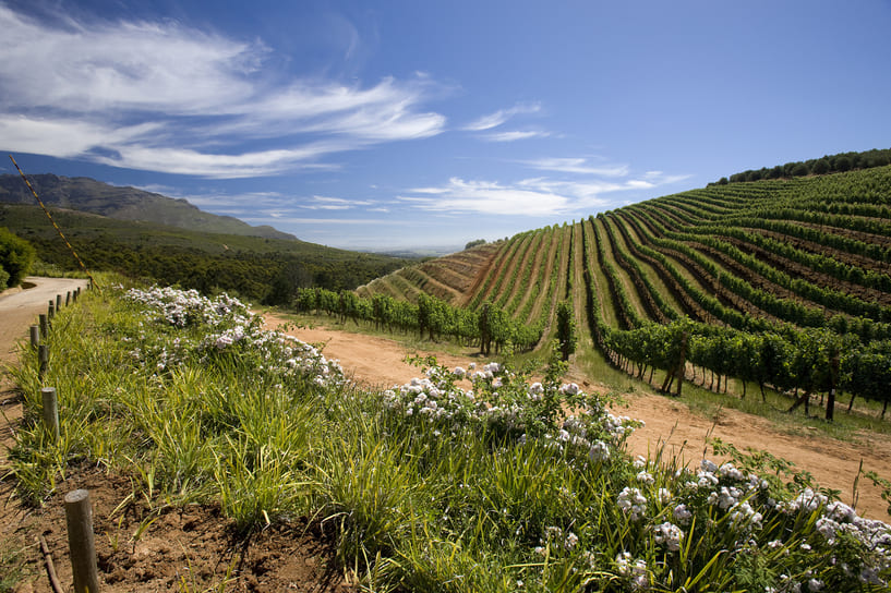 Romantic Escapes in South Africa