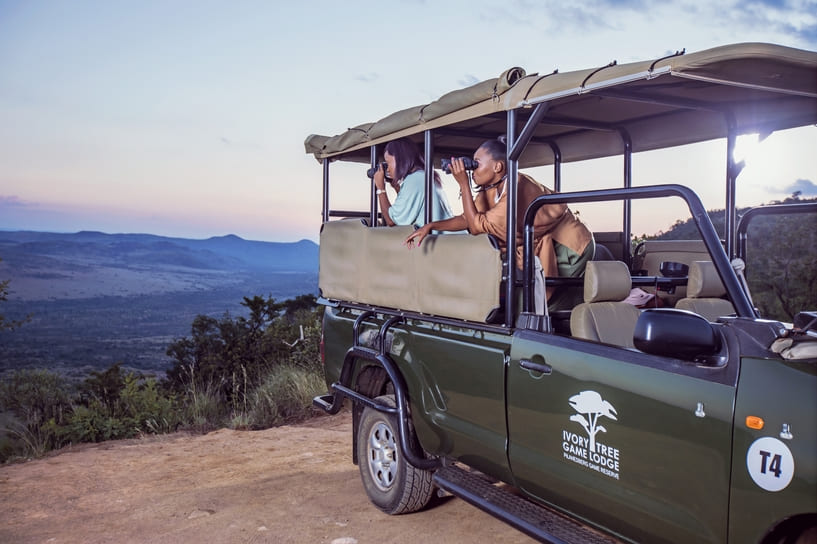 Winter Wildlife in South Africa