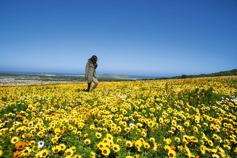 Spring Awakening in South Africa