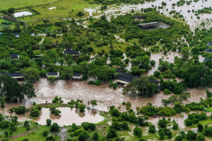 The Rains Bring Life to Kenya