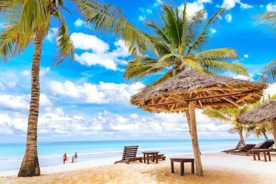 Holiday Safaris and Coastal Fun