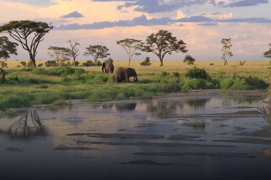 Perfect Weather and Safari Season in Tanzania