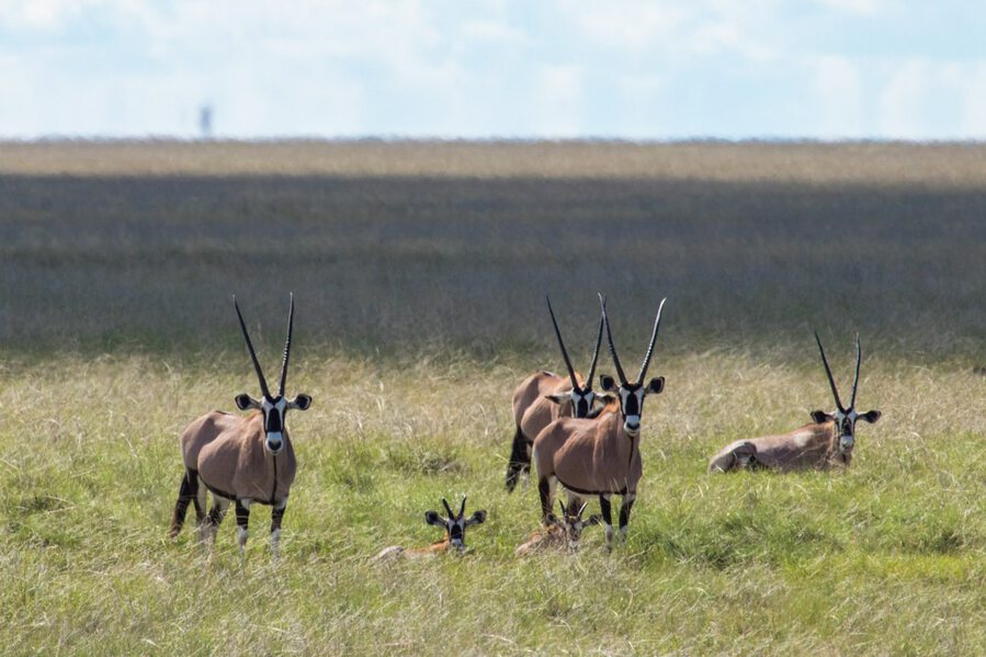 Enjoy The Cool Weather and Wildlife in Namibia