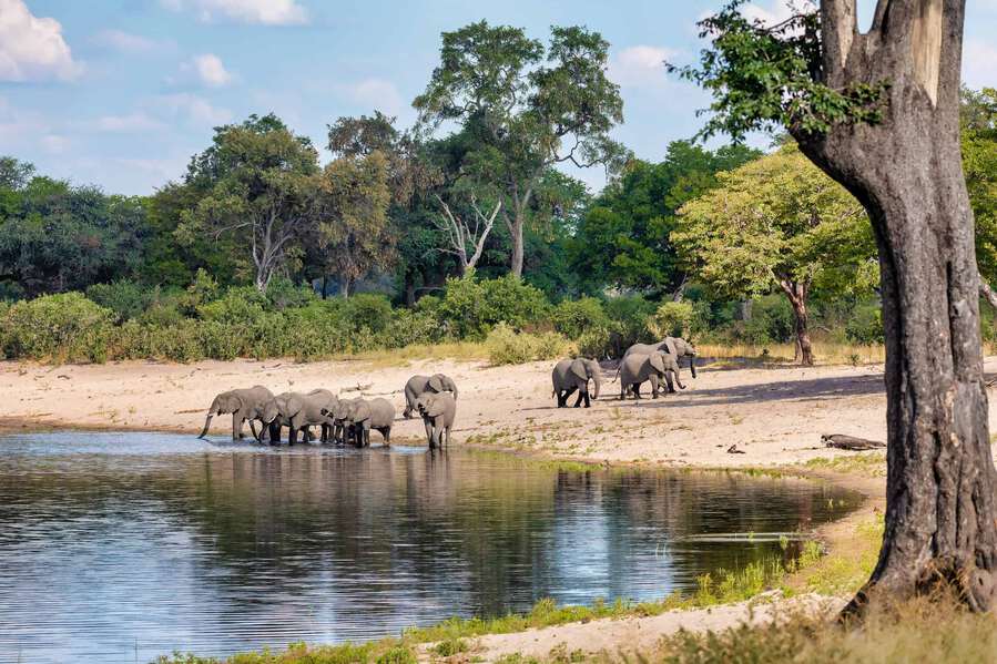 Embrace The Dry Season And Wildlife Viewing