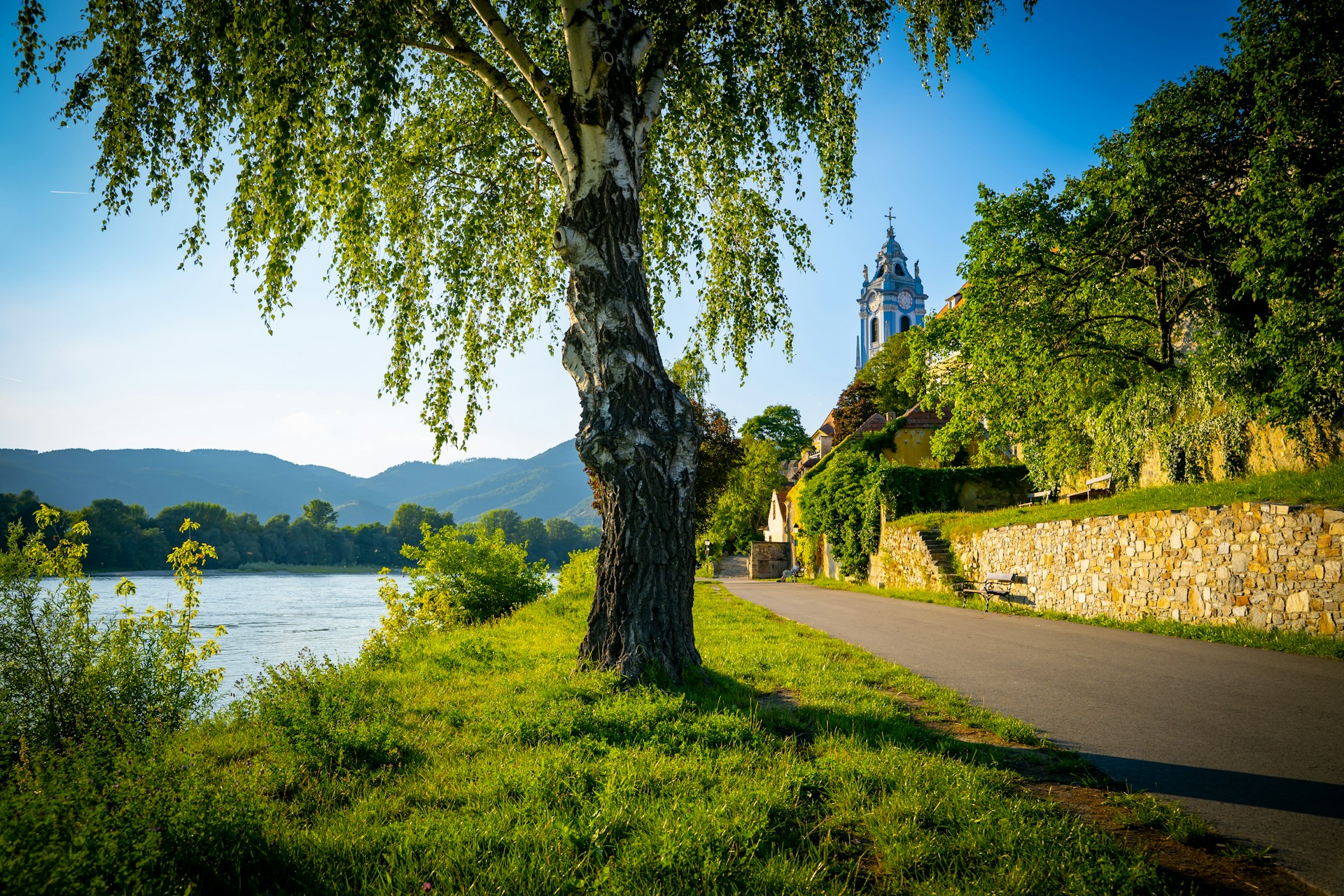 Spring’s Gentle Whisper in the Alps