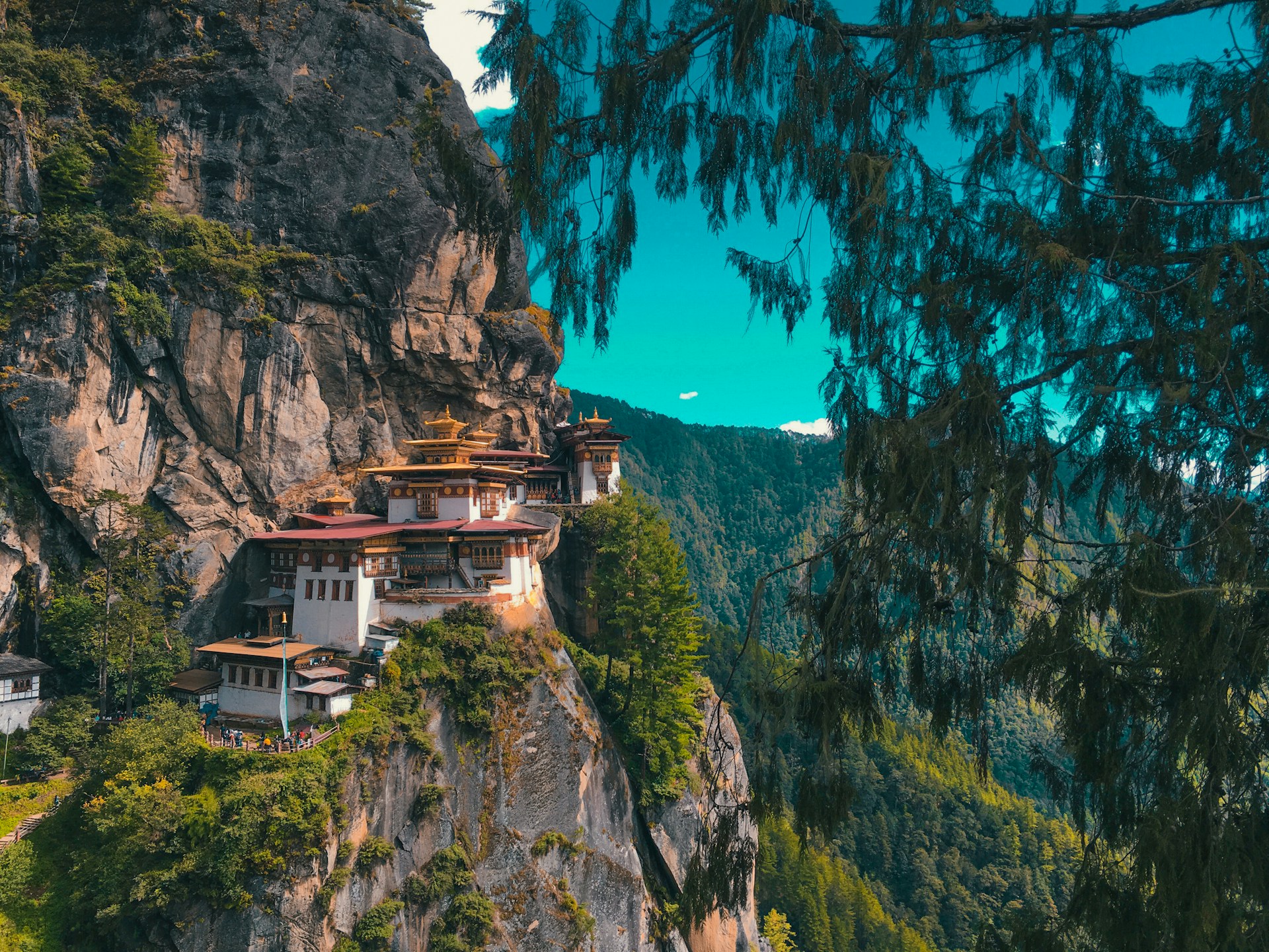 Quiet Romance in Himalayan Foothills