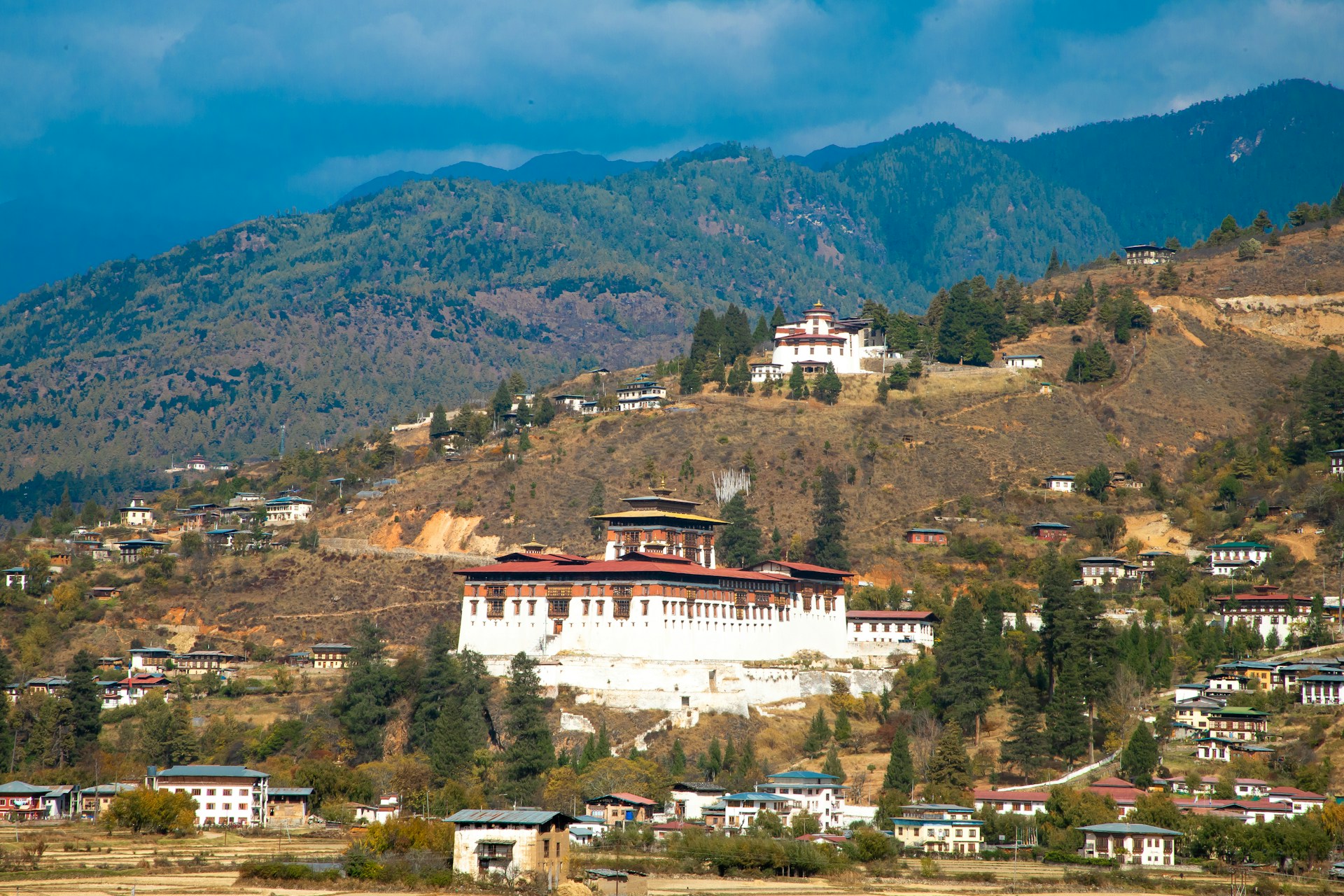 Verdant Trails and Himalayan Serenity