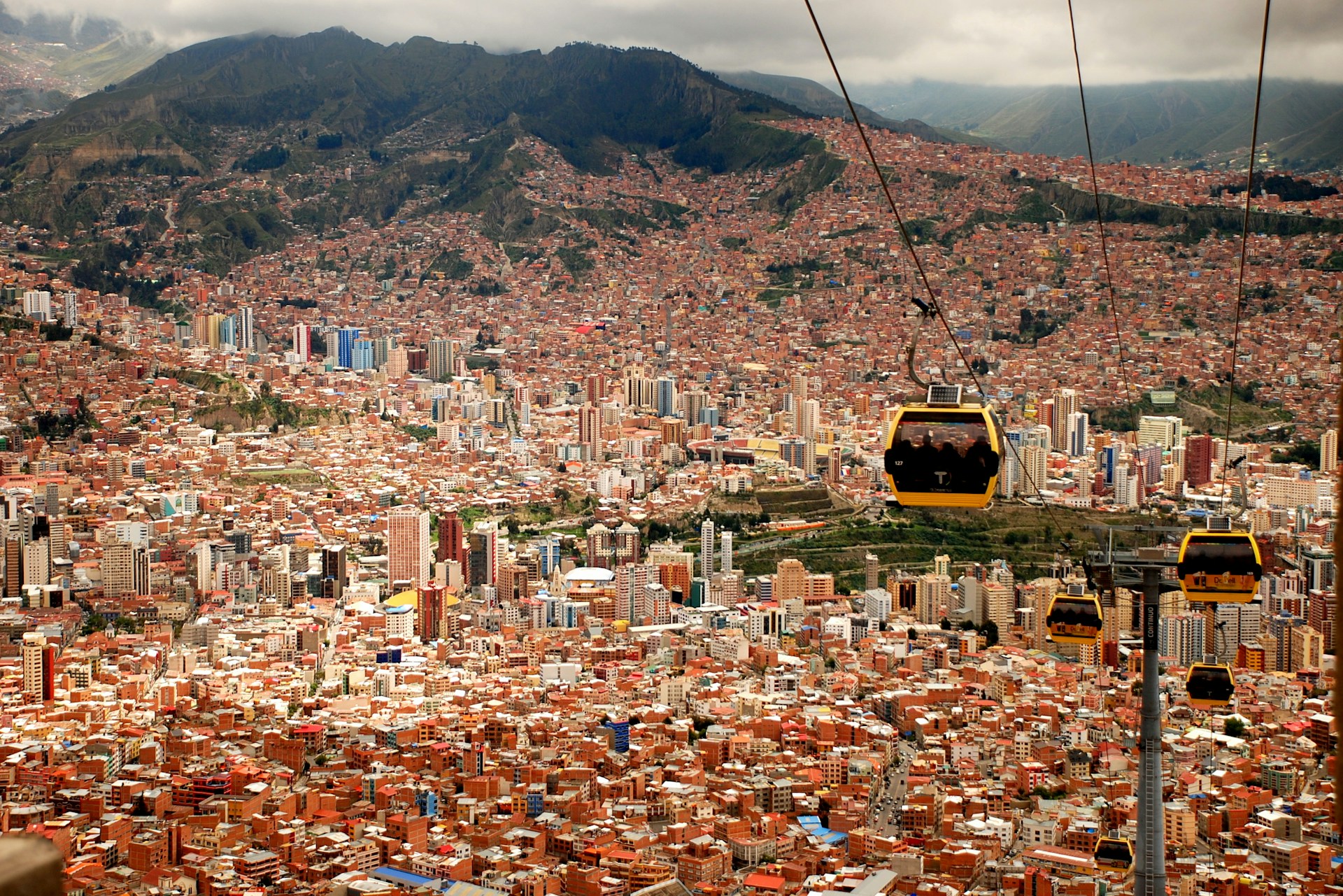 Festive Warmth and Andean Charm
