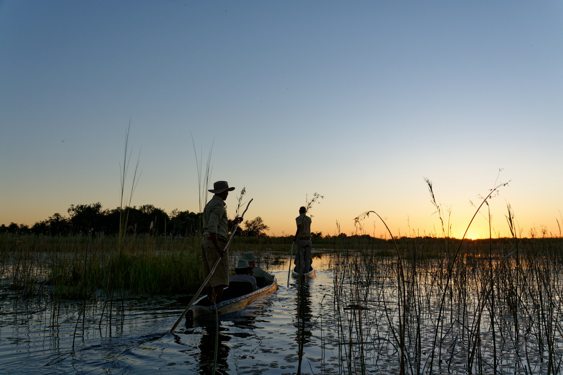 Romantic Safaris Amid Verdant Plains