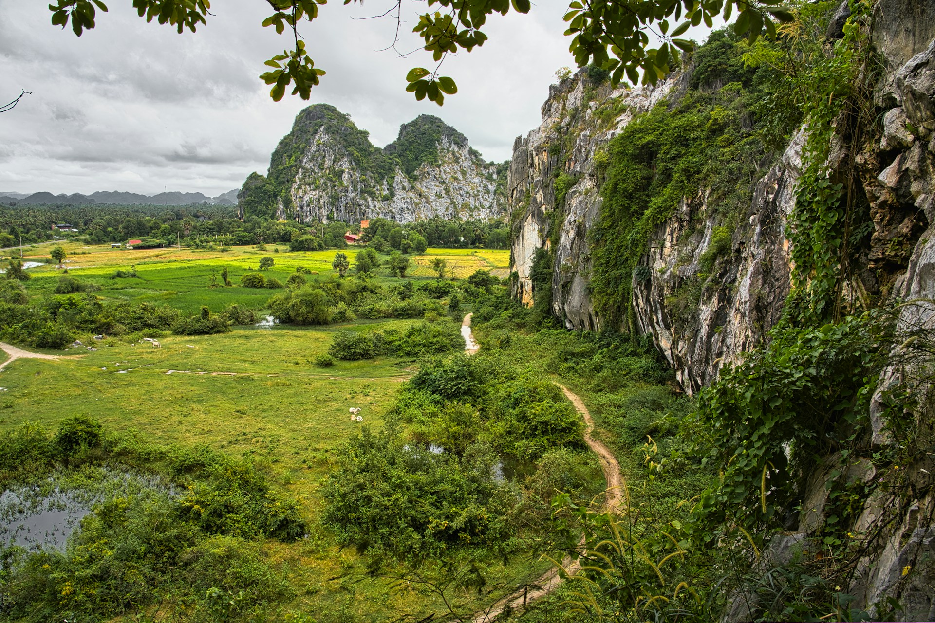 Rainy Season’s Lush Cultural Depths