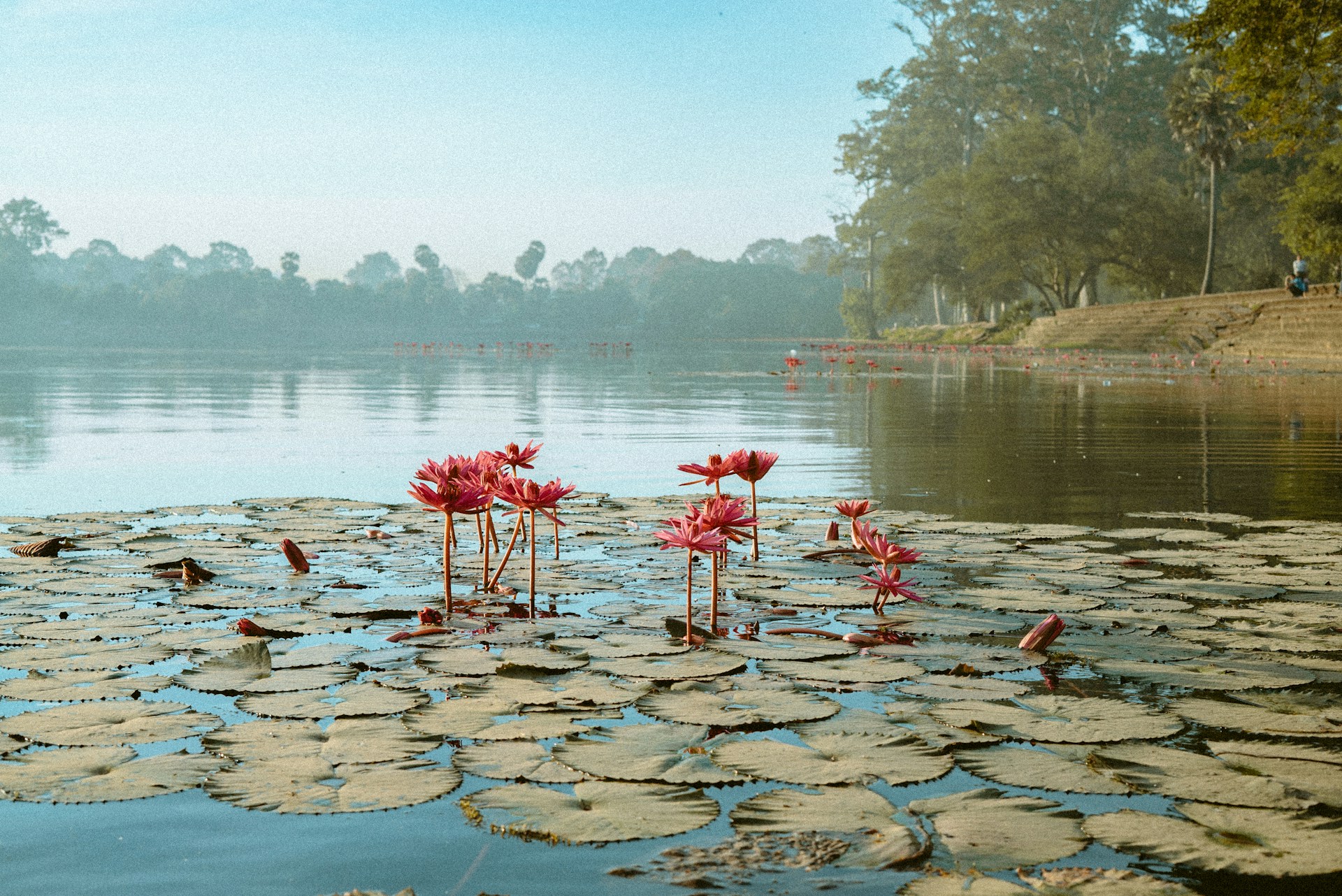 Monsoon’s Gentle Fade and Cultural Vibrancy