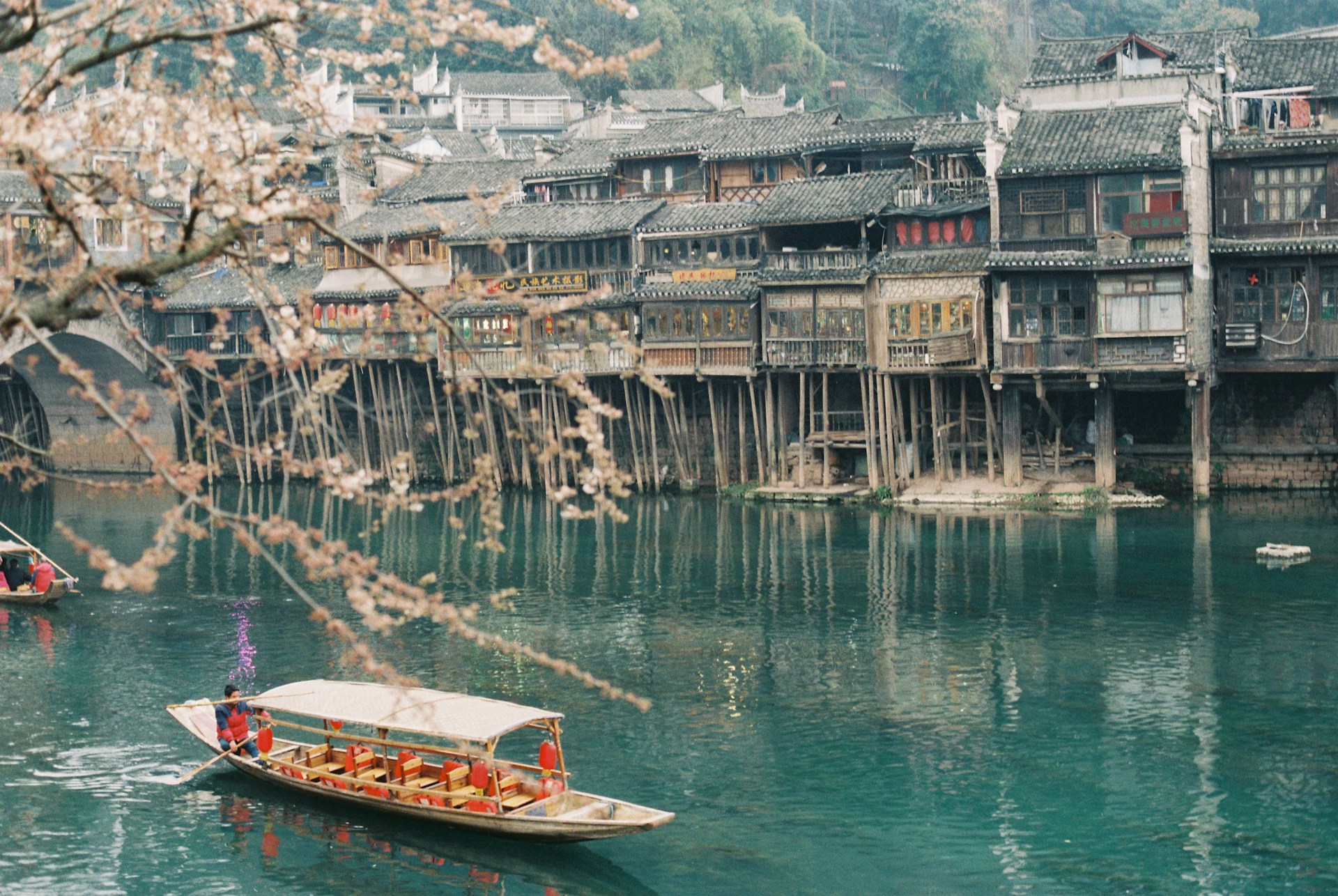 Blossoming Splendor and Cultural Riches