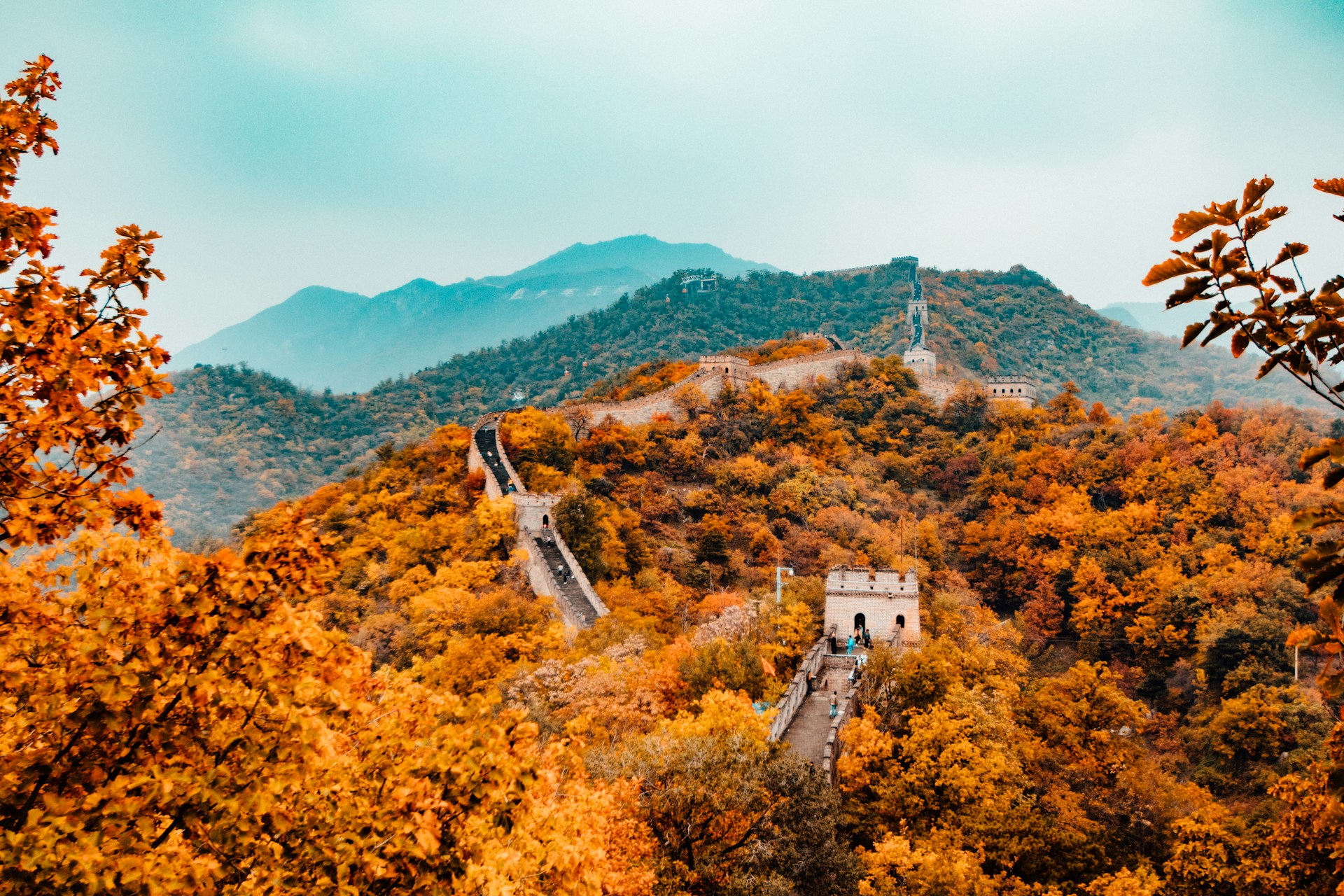 Autumn’s Golden Arrival