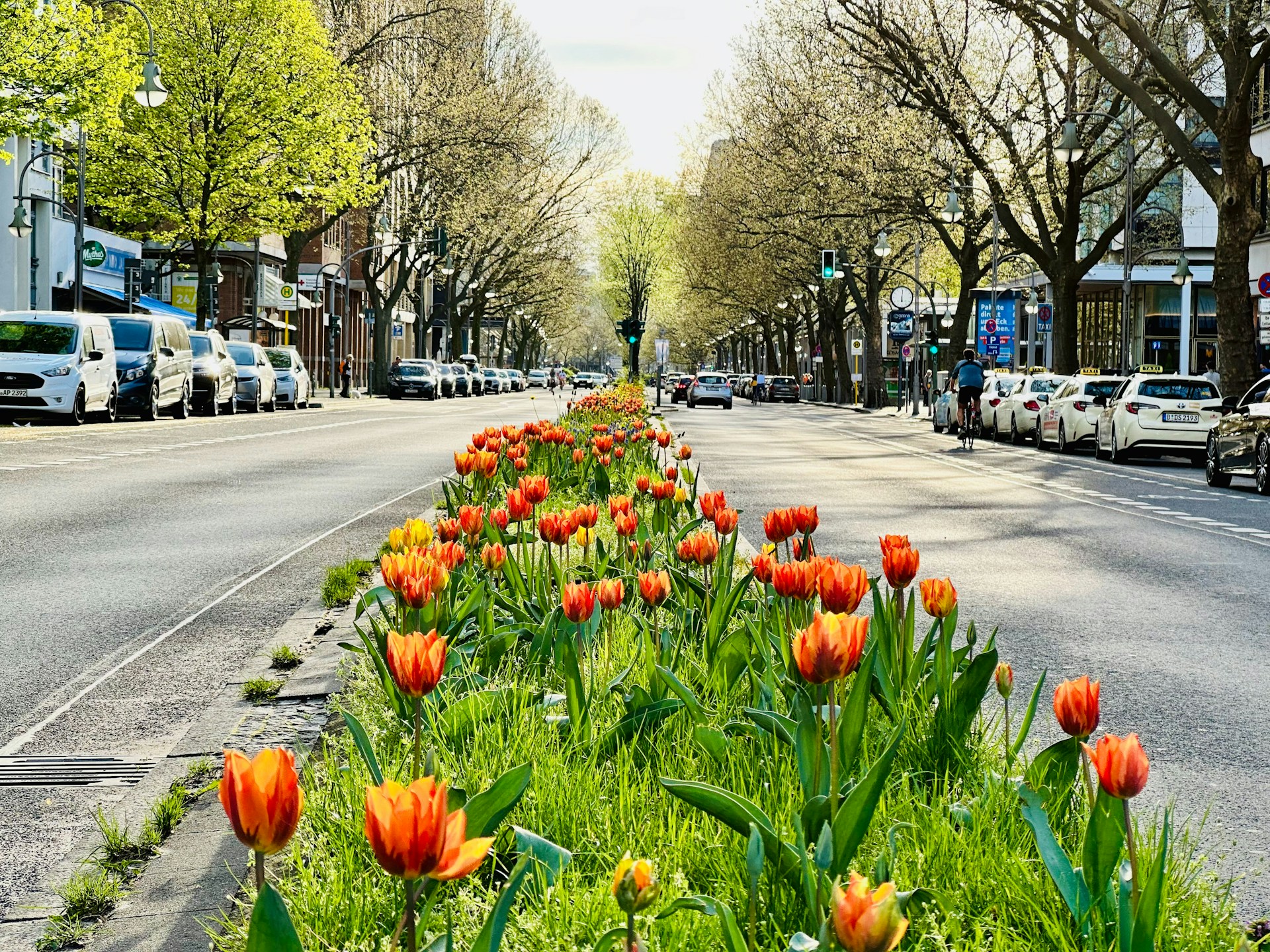 Blossoming Beauty and Easter Cheer