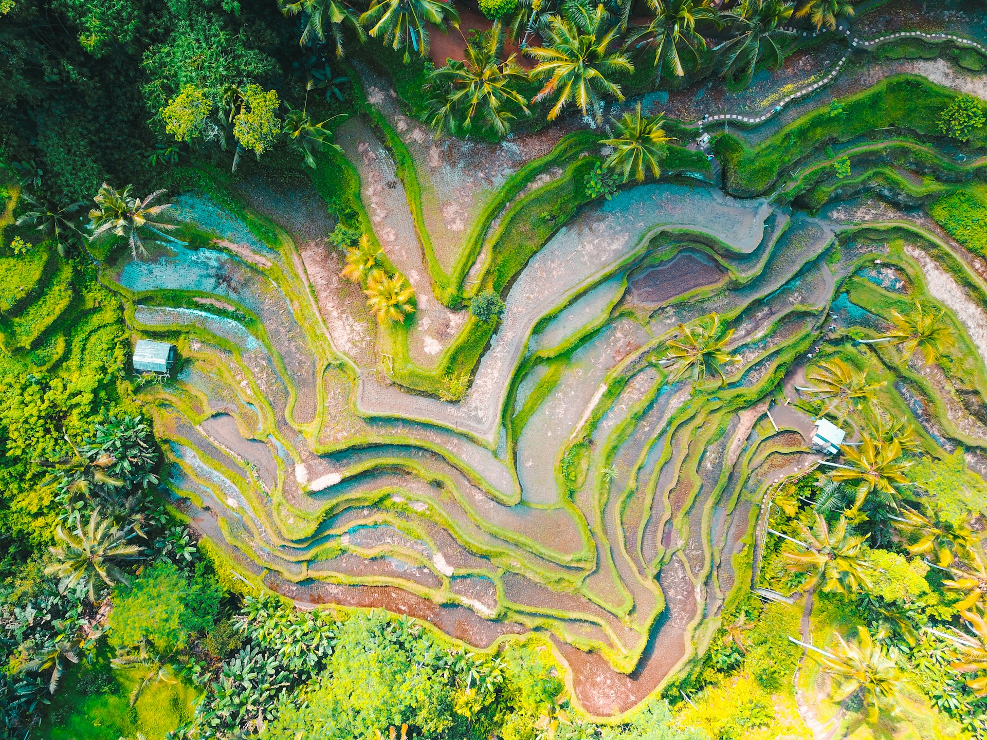 Sun-Kissed Shores and Cultural Gems