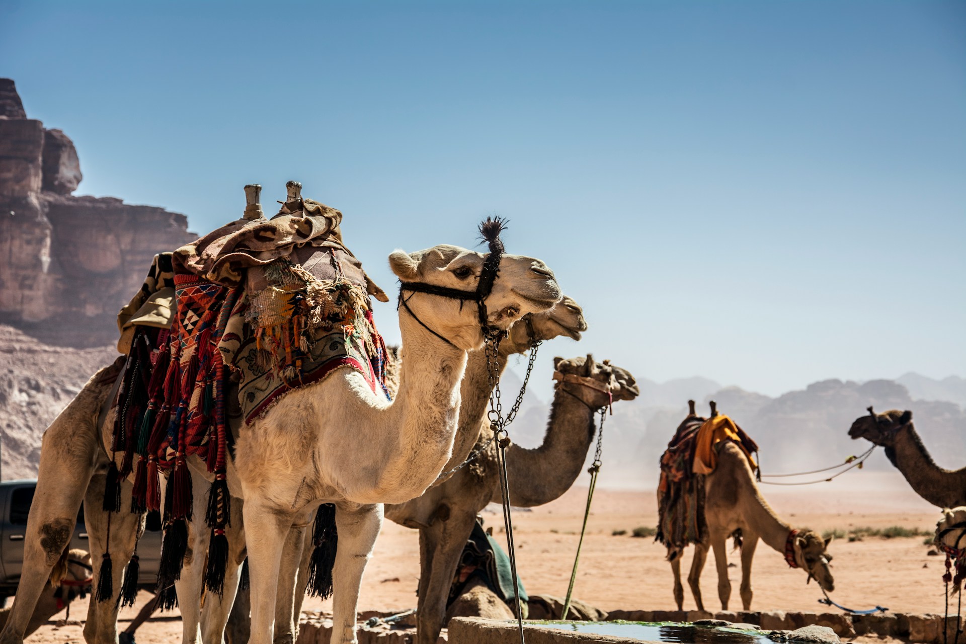 Desert Heat and Cultural Retreats