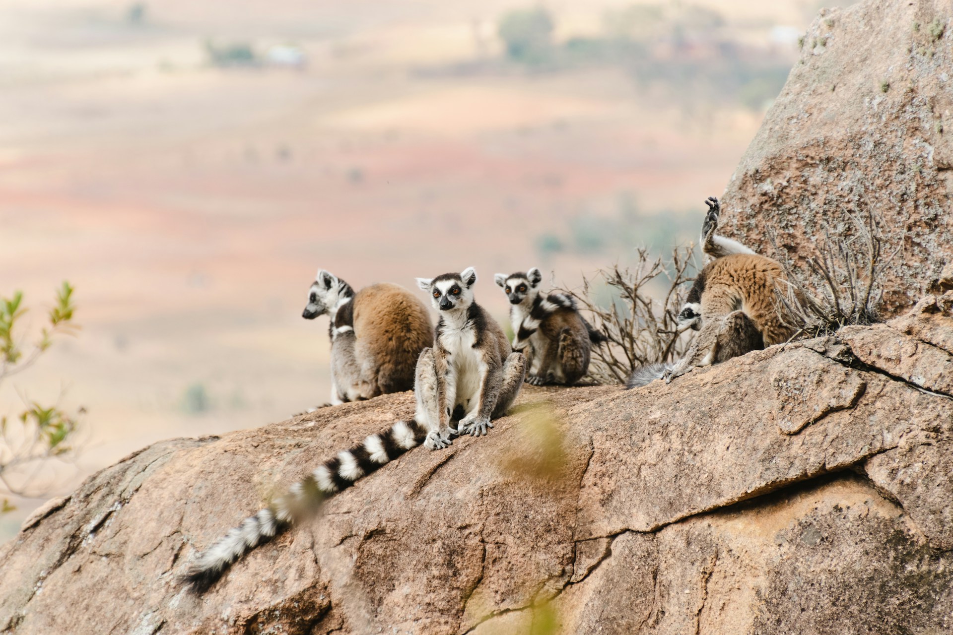Dry Season’s Wildlife Wonderland