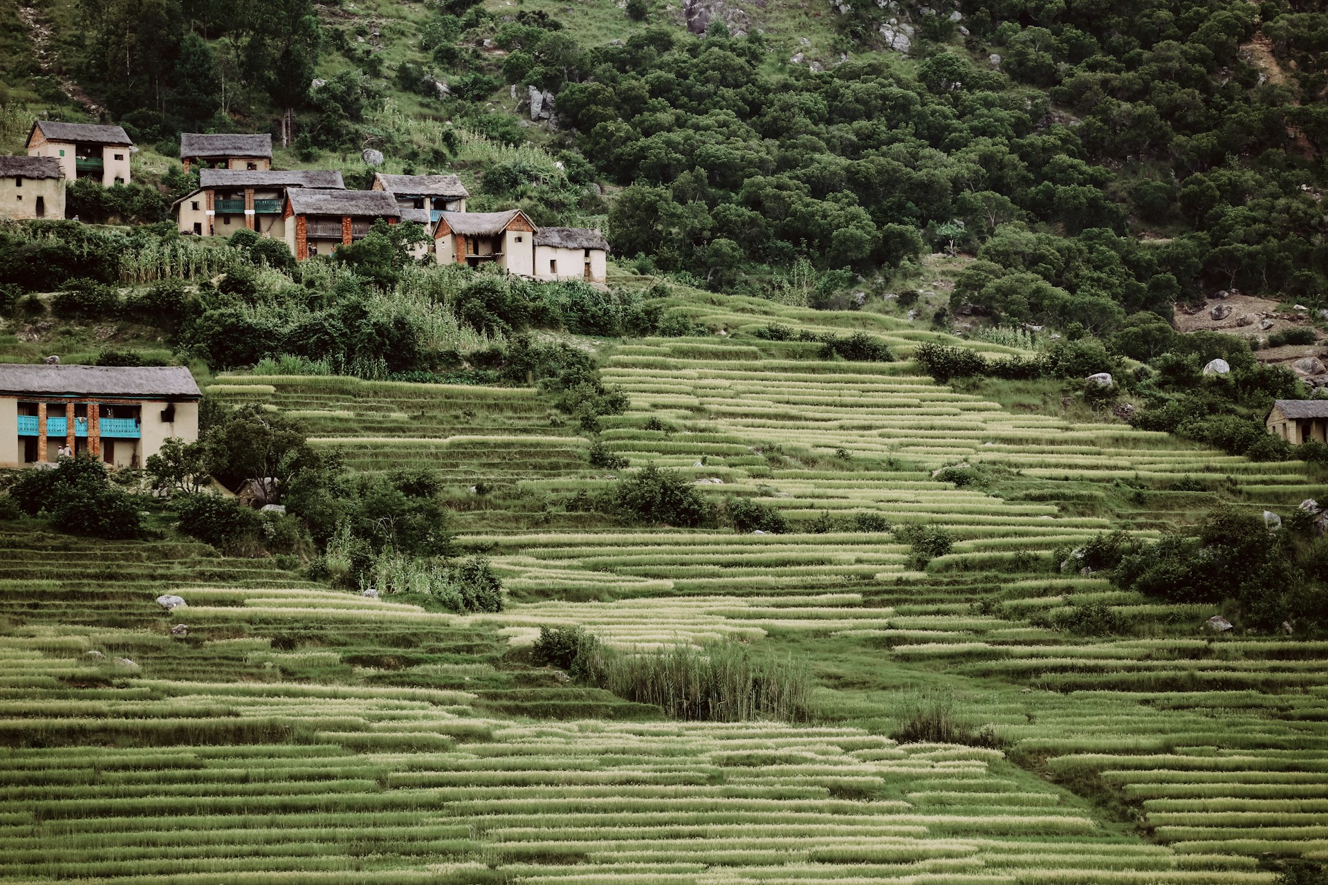 Early Rains and Cultural Warmth