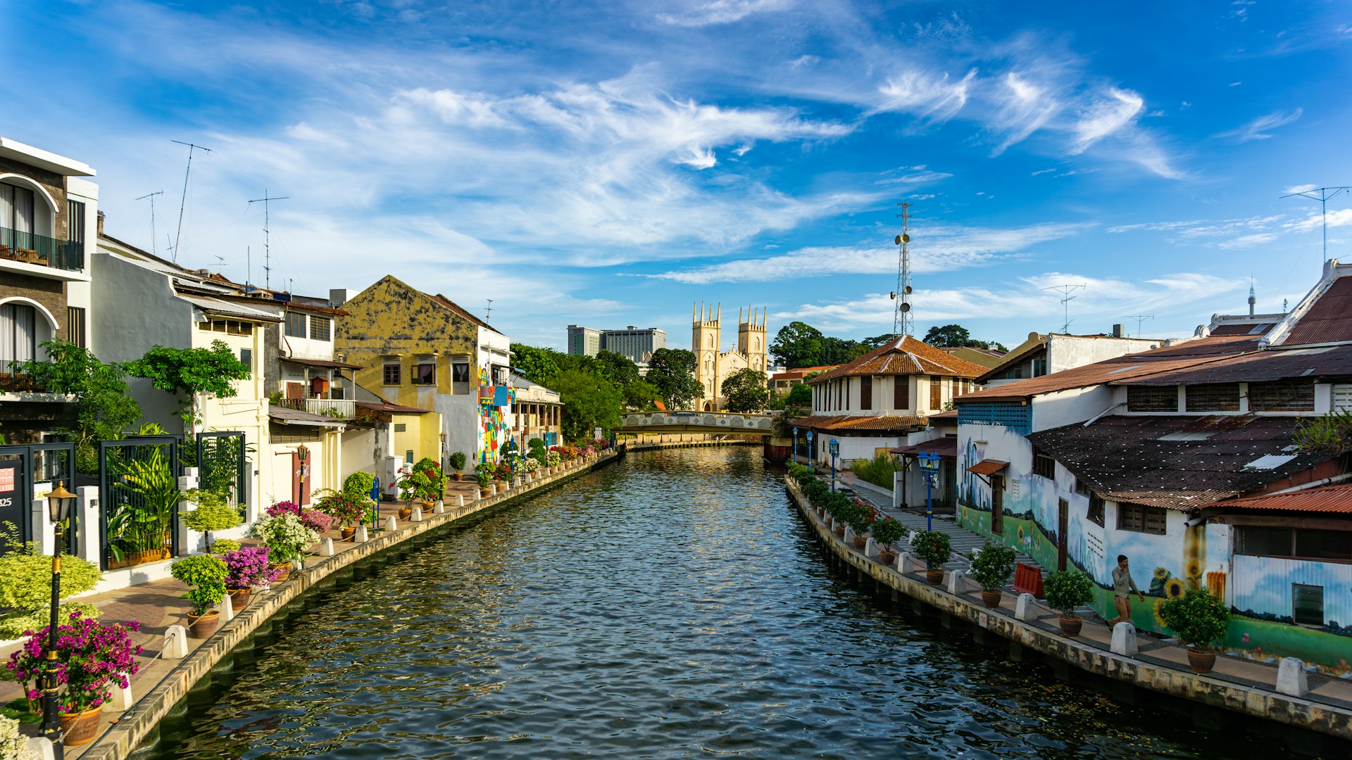 Verdant Rainforests and Coastal Wonders