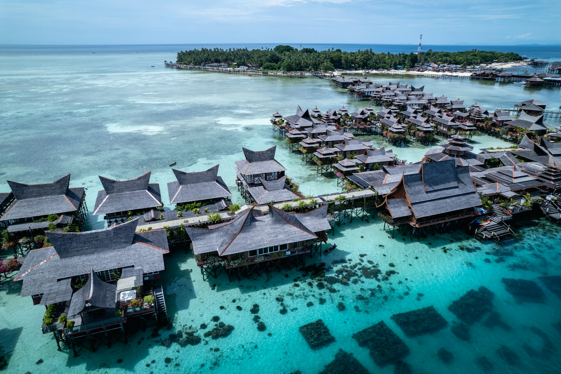 Sunlit Shores and Biodiversity Marvels