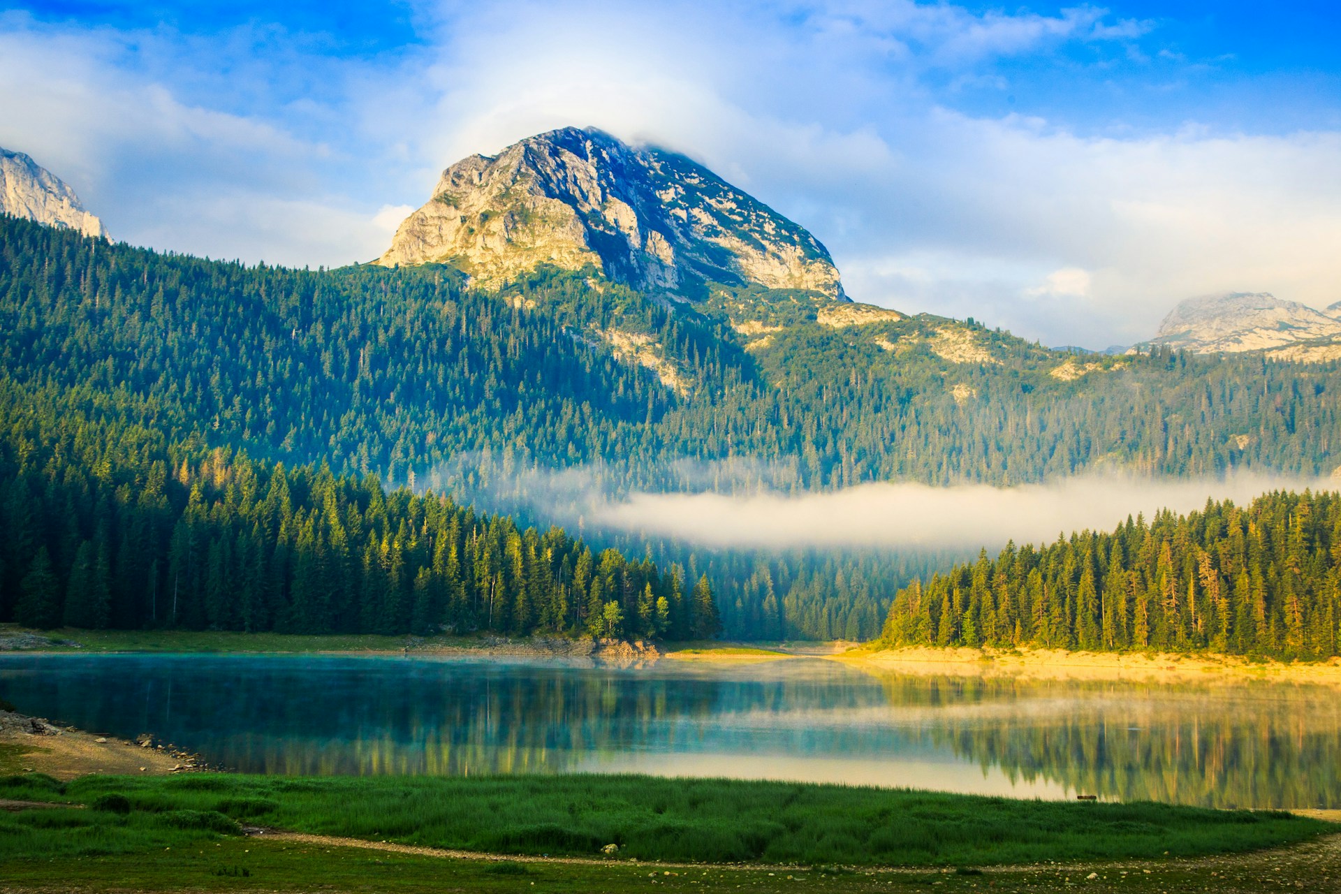 Festive Summer Splendor