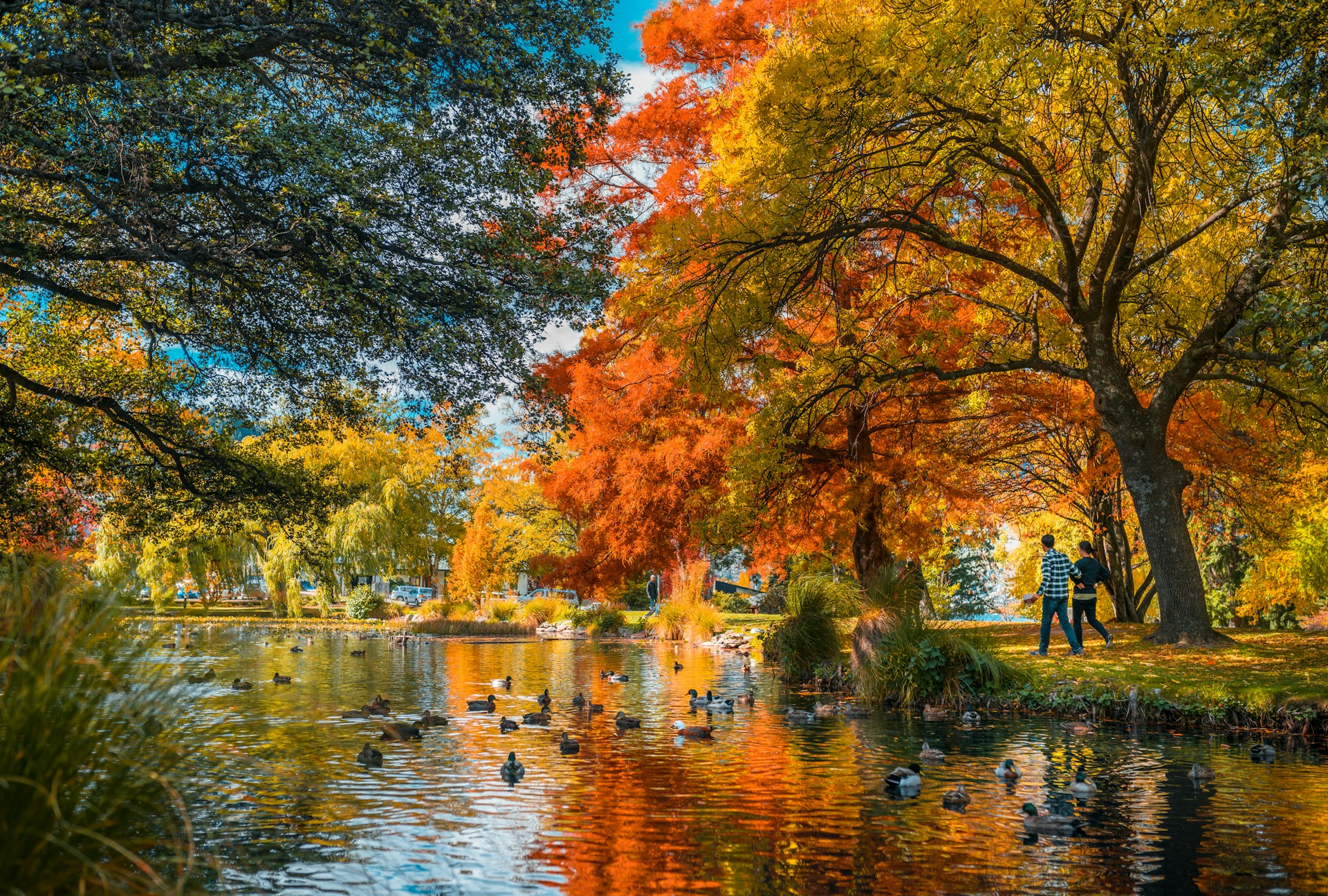 Golden Autumn and Cultural Riches